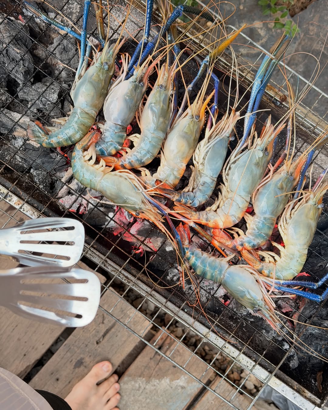 บิลลี่ - ภัทรชนน อ่อนสอาด