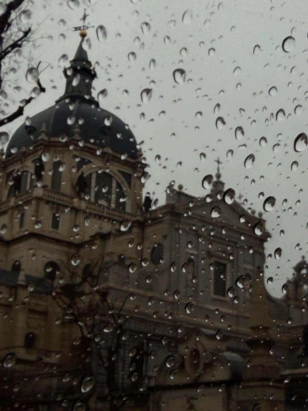 บิลลี่ - ภัทรชนน อ่อนสอาด