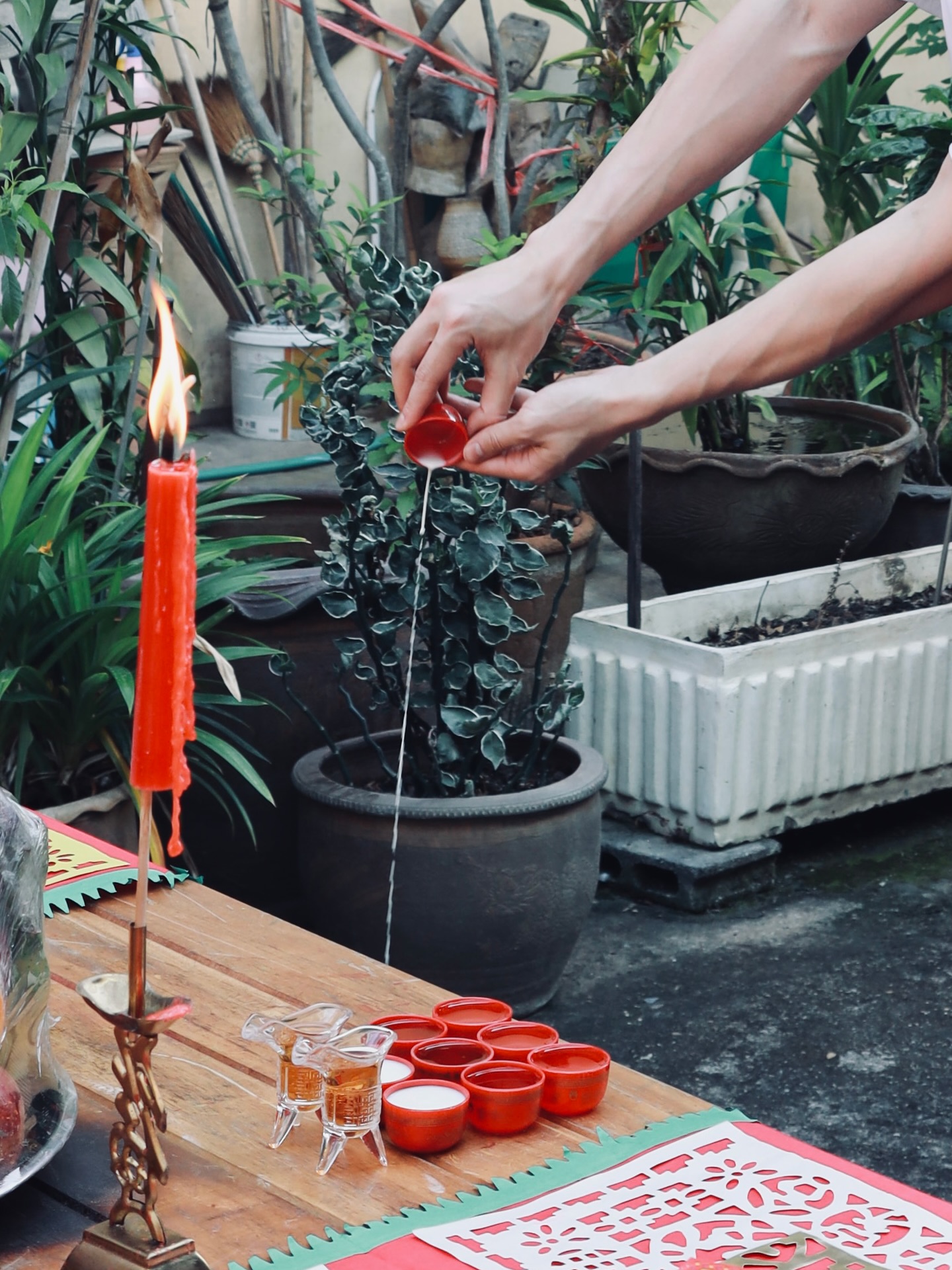 บิลลี่ - ภัทรชนน อ่อนสอาด