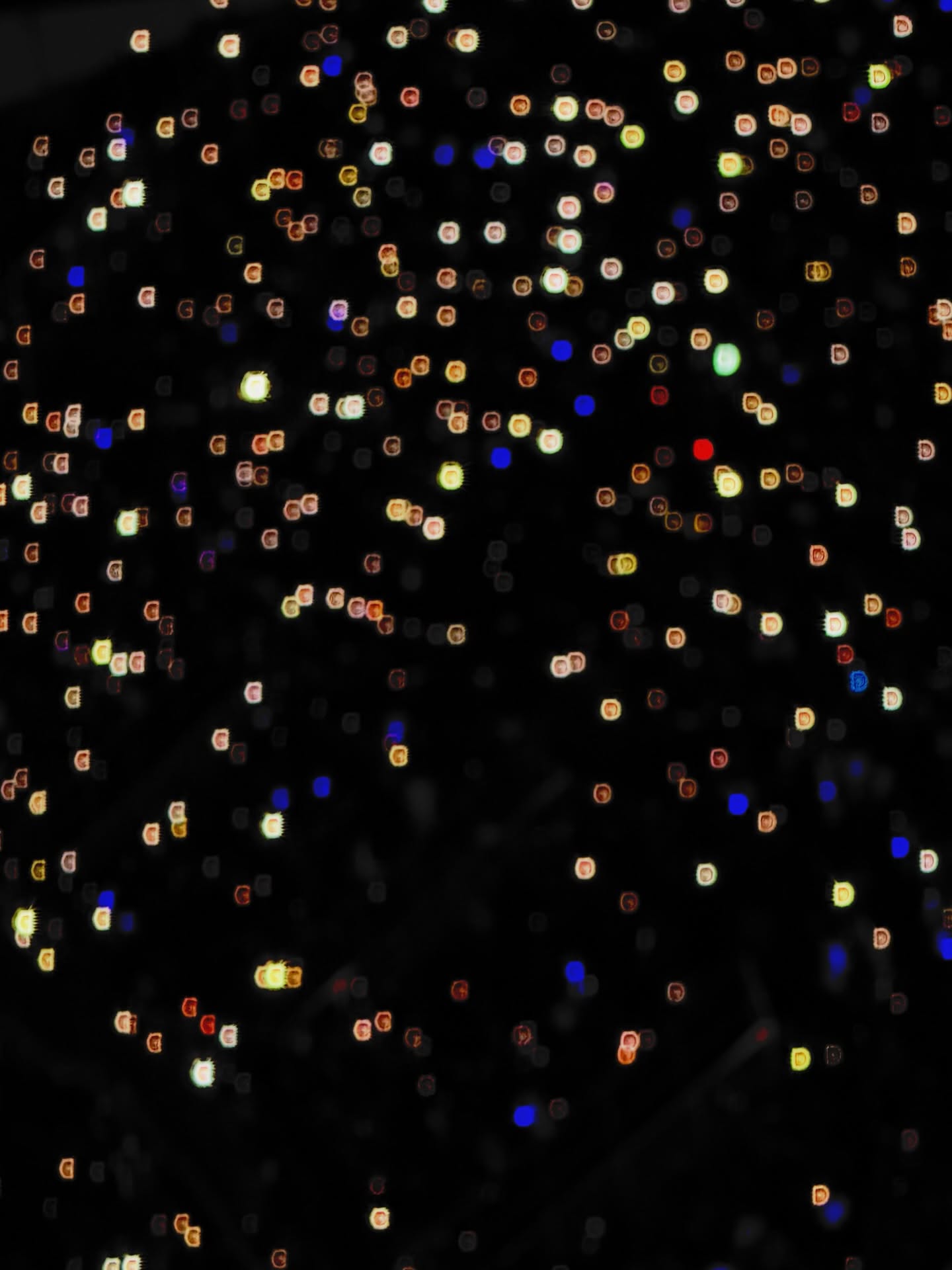 บิลลี่ - ภัทรชนน อ่อนสอาด