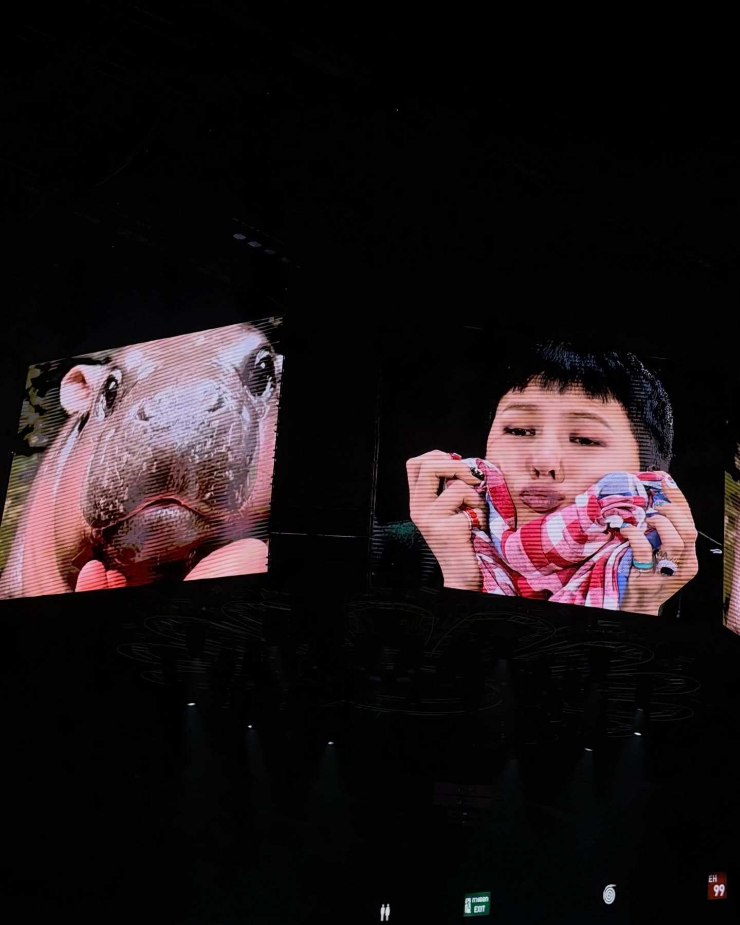 บิลลี่ - ภัทรชนน อ่อนสอาด