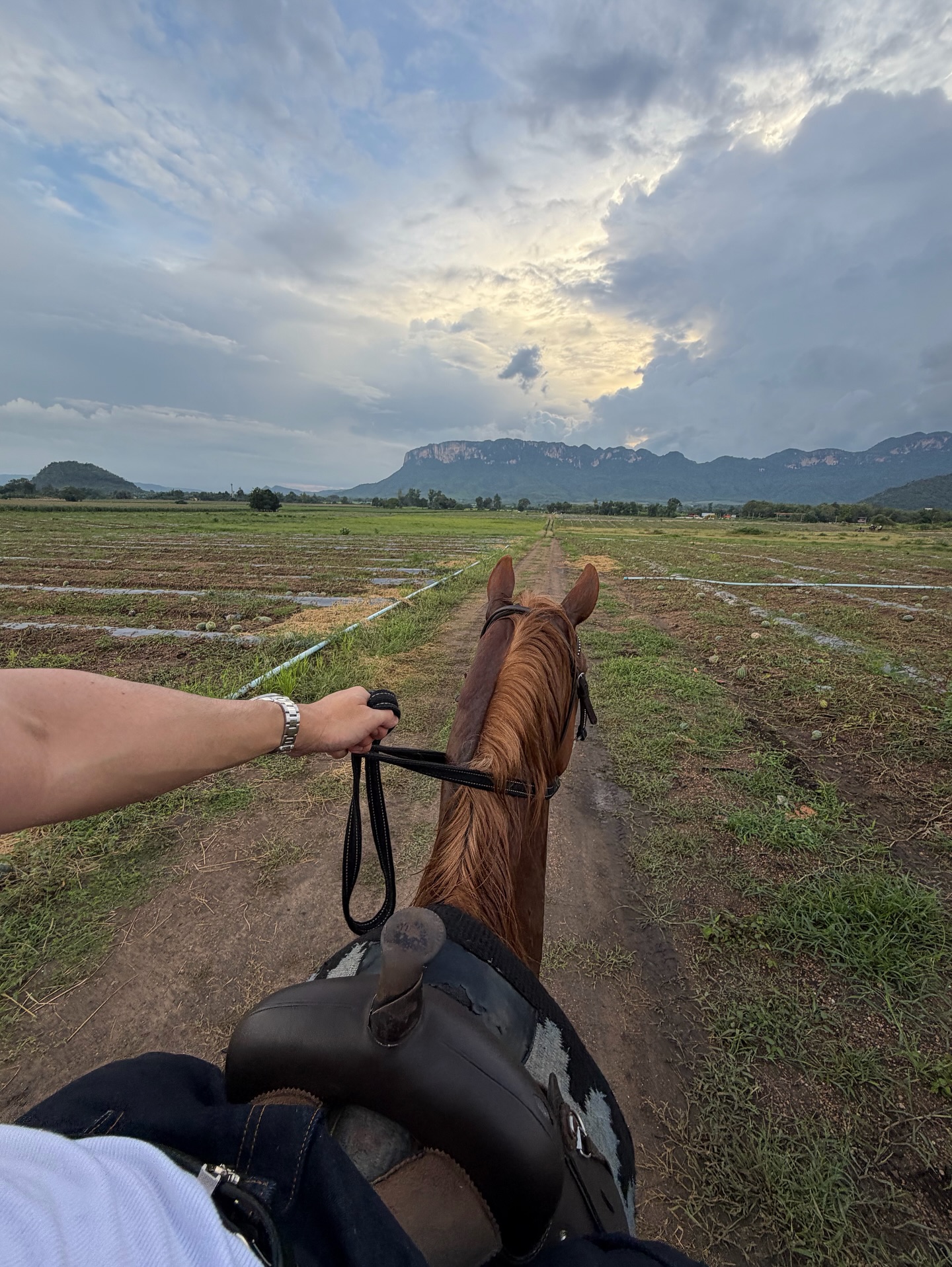 นาย - ณภัทร เสียงสมบุญ