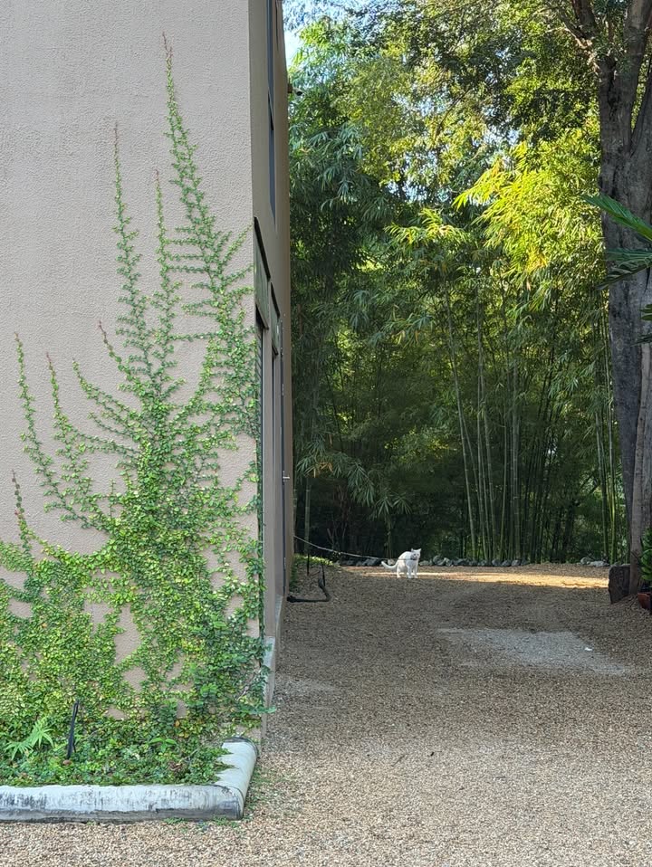 นาย - ณภัทร เสียงสมบุญ