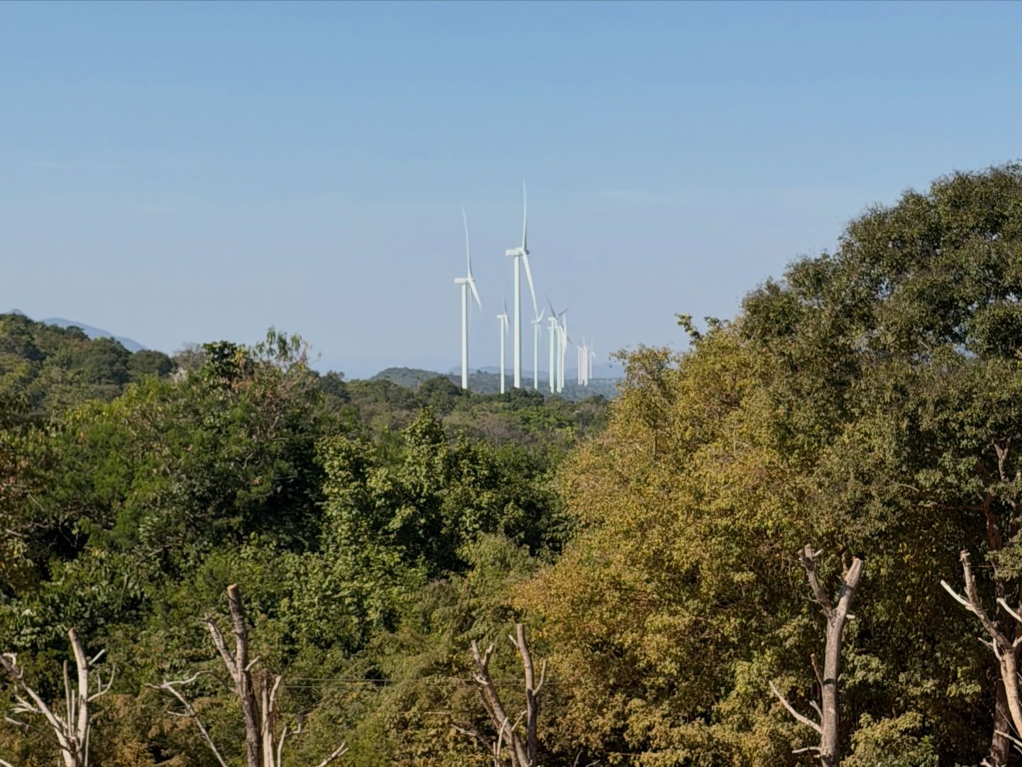 นาย - ณภัทร เสียงสมบุญ