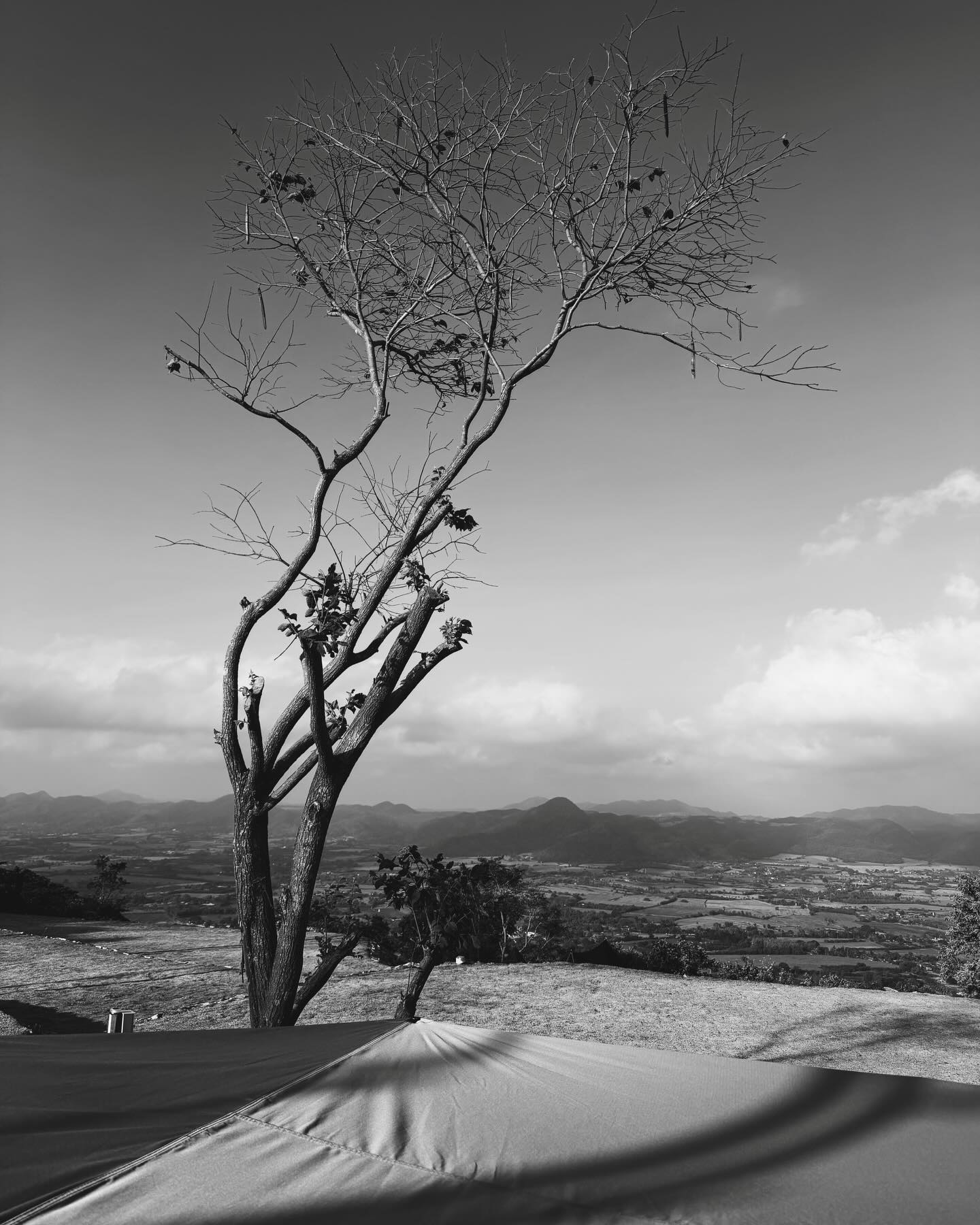 นาย - ณภัทร เสียงสมบุญ