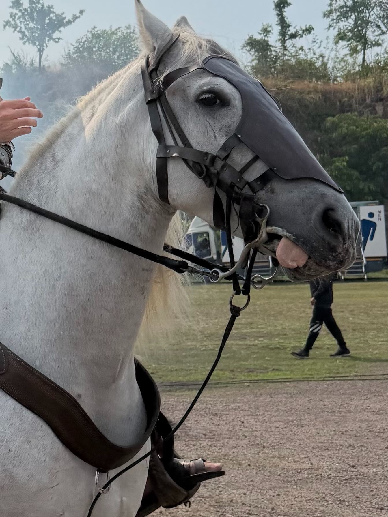 นาย - ณภัทร เสียงสมบุญ