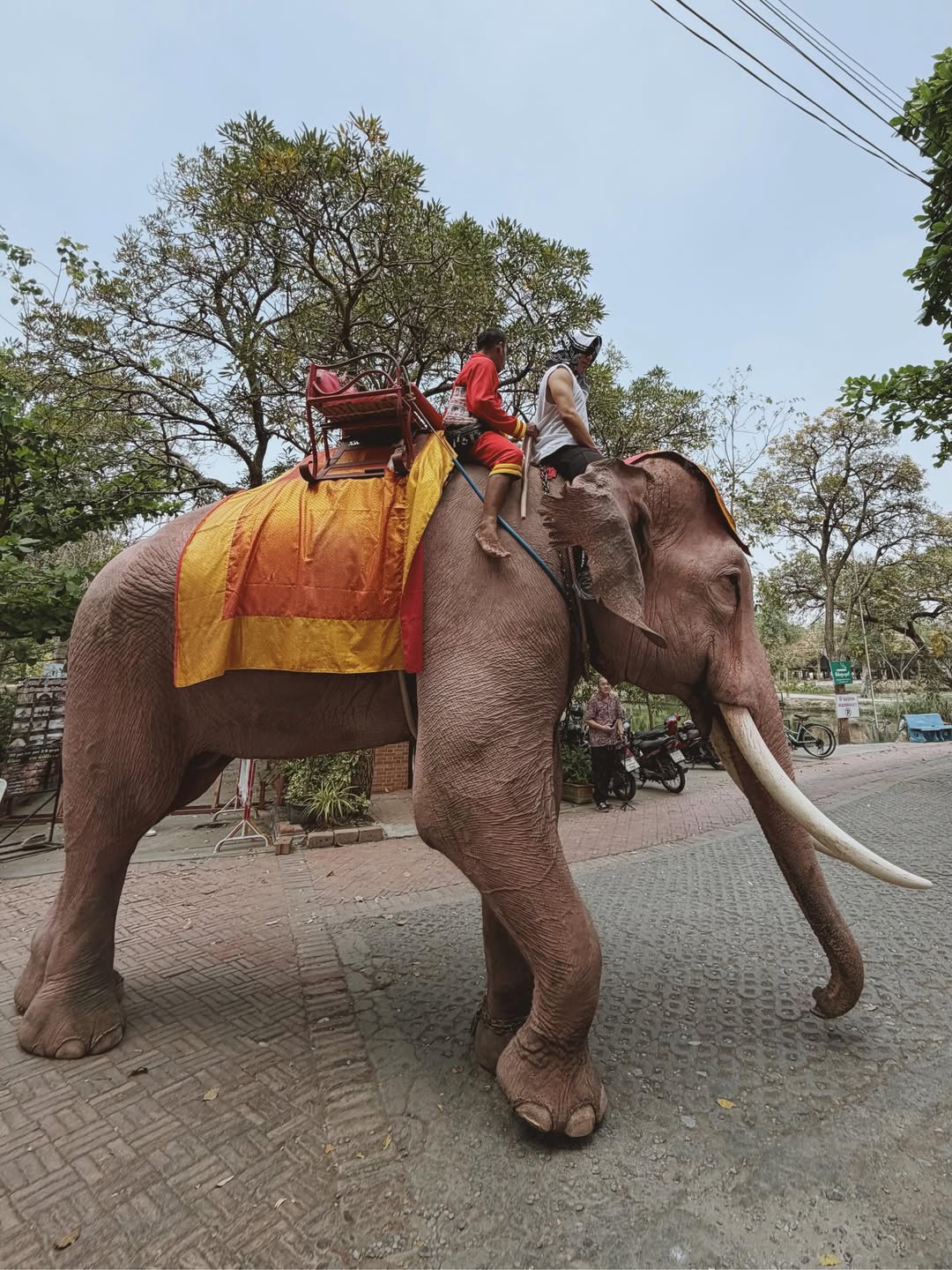 นาย - ณภัทร เสียงสมบุญ