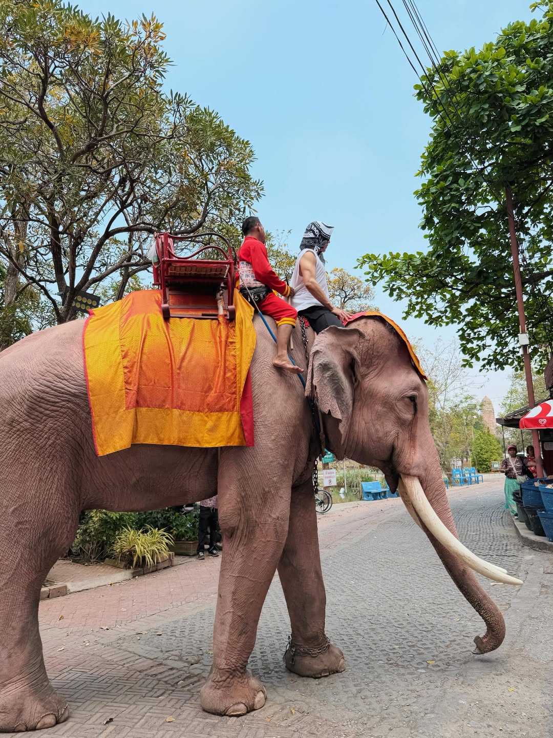 นาย - ณภัทร เสียงสมบุญ