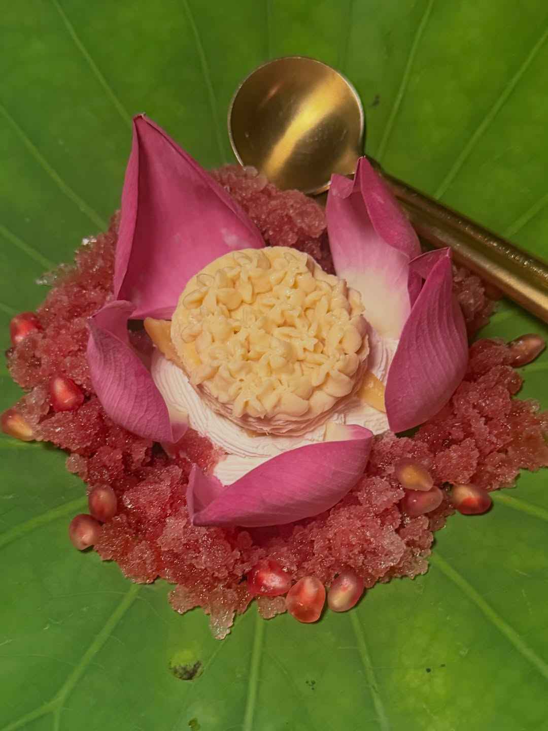 นาย - ณภัทร เสียงสมบุญ