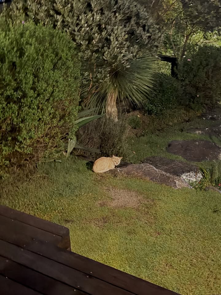 ตูน - พิมพ์ปวีณ์ โคกระบินทร์