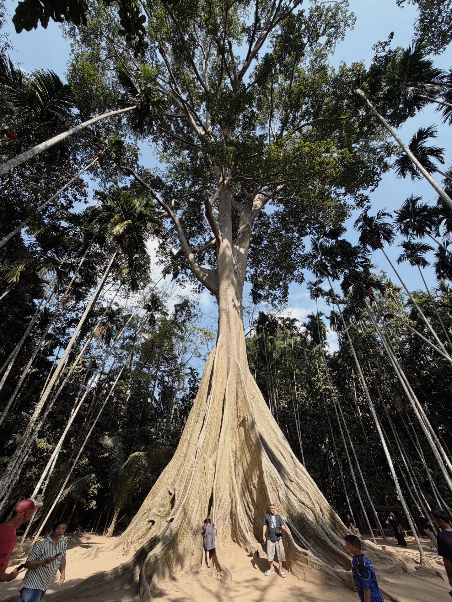 ตูน - พิมพ์ปวีณ์ โคกระบินทร์