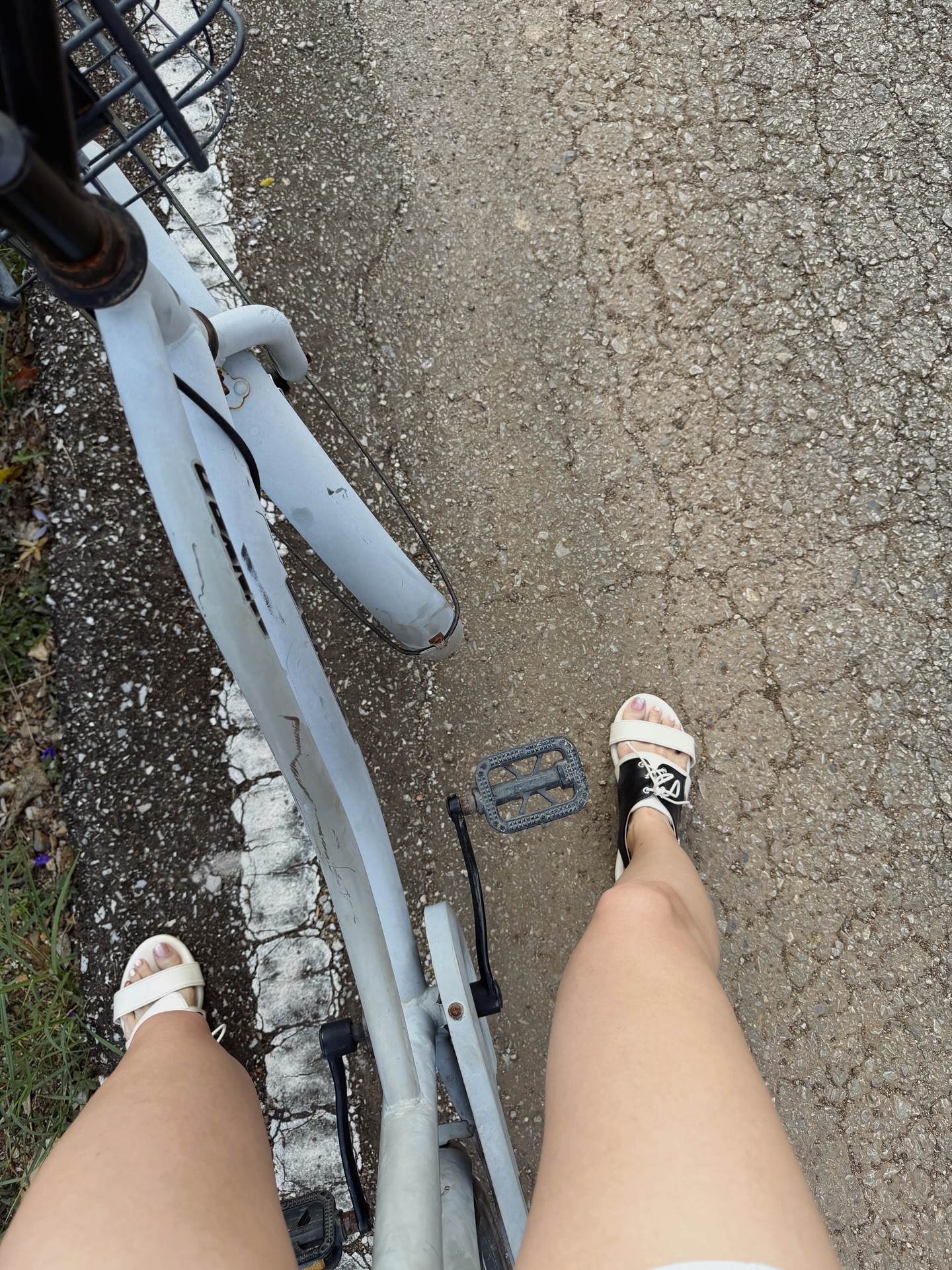 ตูน - พิมพ์ปวีณ์ โคกระบินทร์