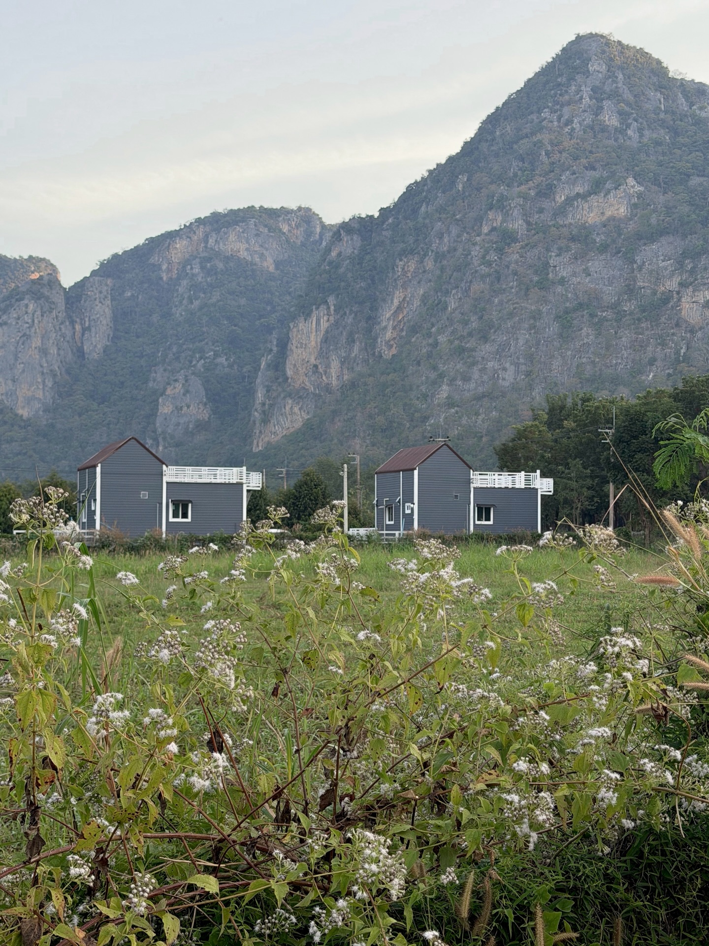 ตูน - พิมพ์ปวีณ์ โคกระบินทร์