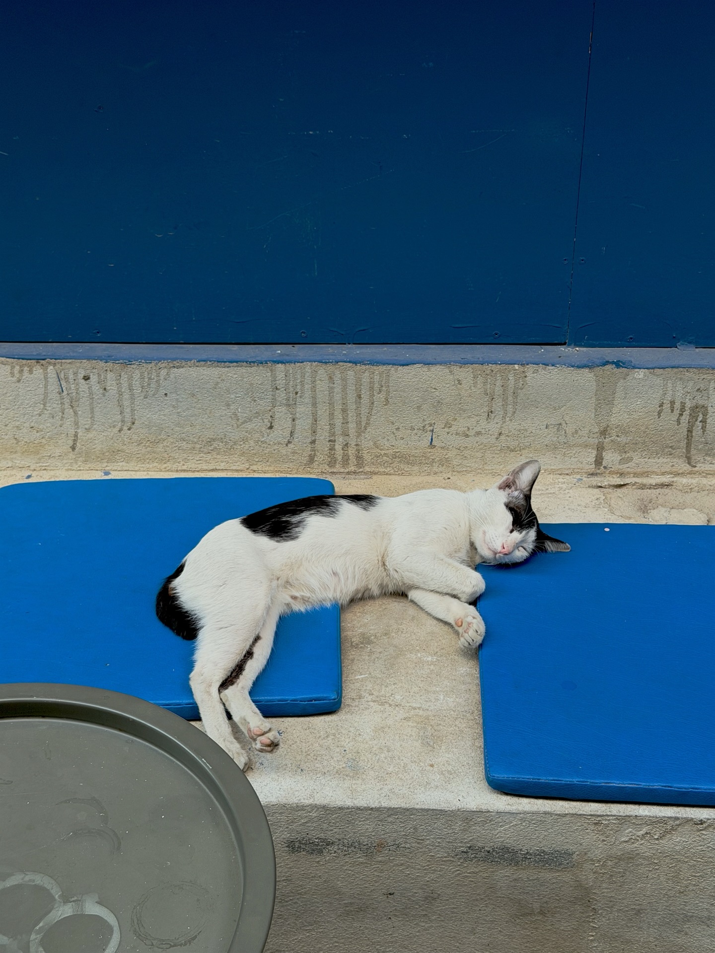 ตูน - พิมพ์ปวีณ์ โคกระบินทร์