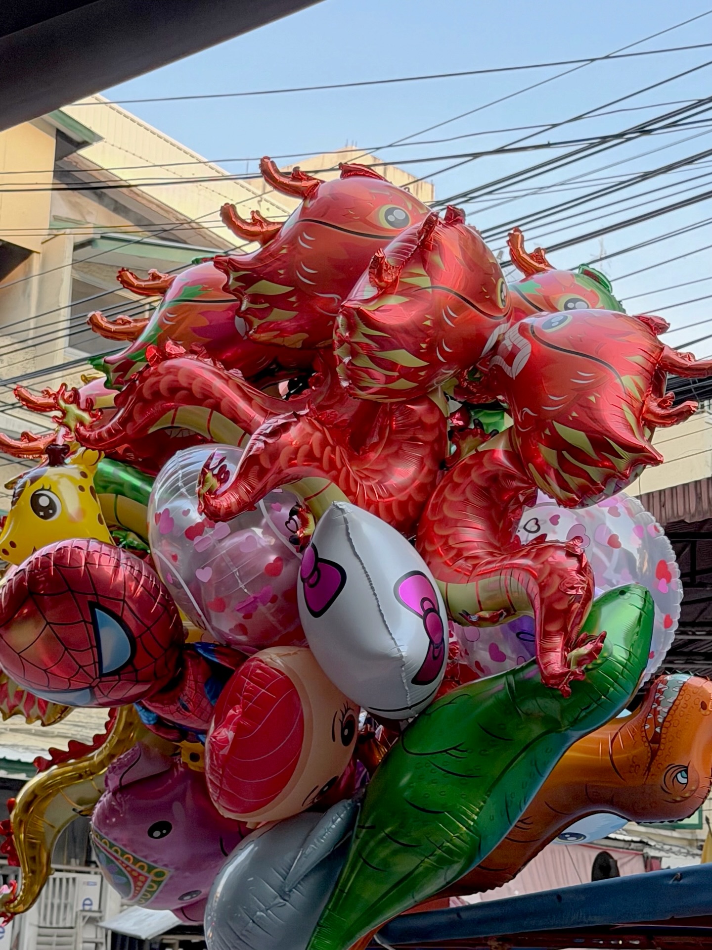 ตูน - พิมพ์ปวีณ์ โคกระบินทร์