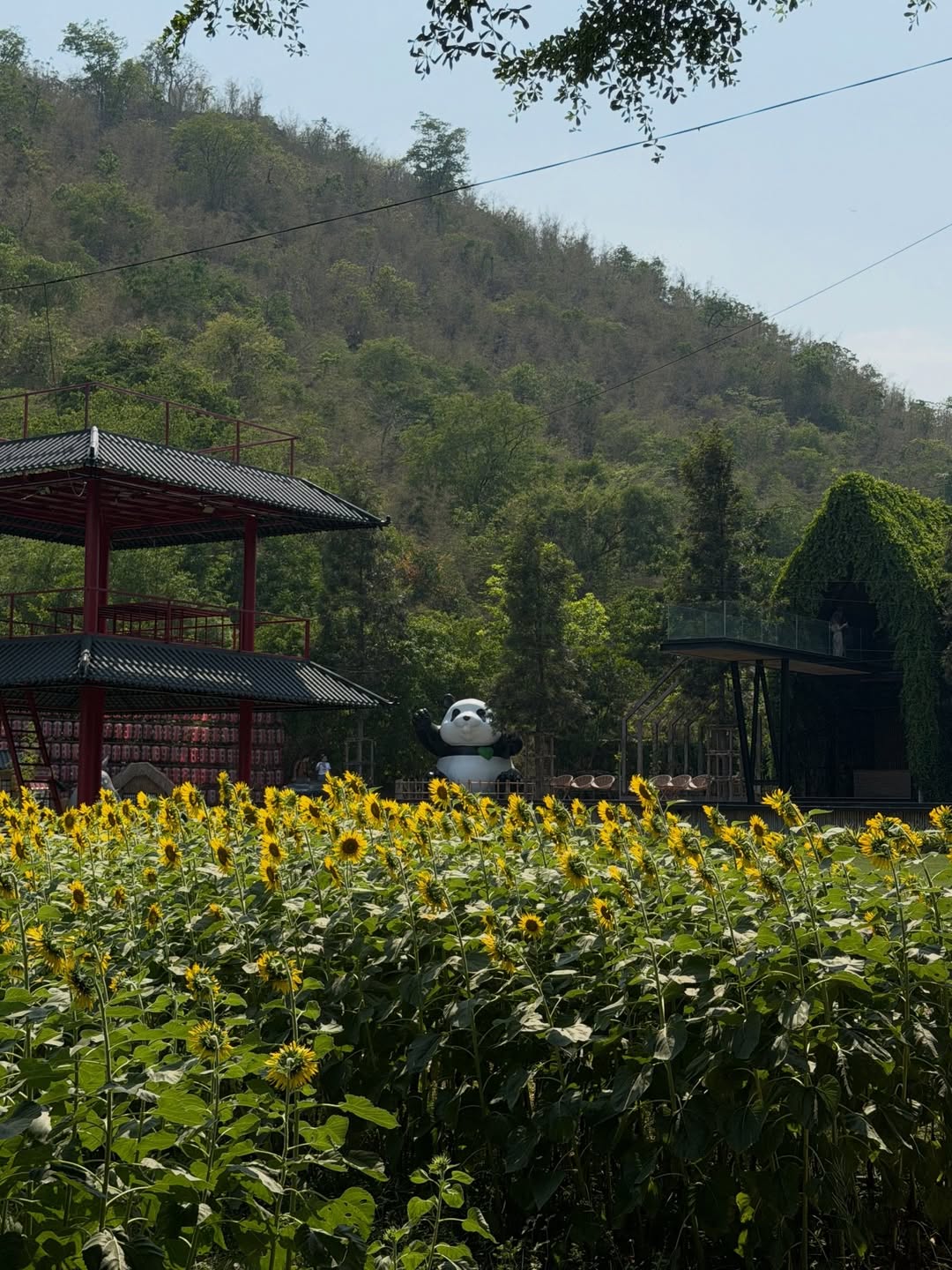 ตูน - พิมพ์ปวีณ์ โคกระบินทร์