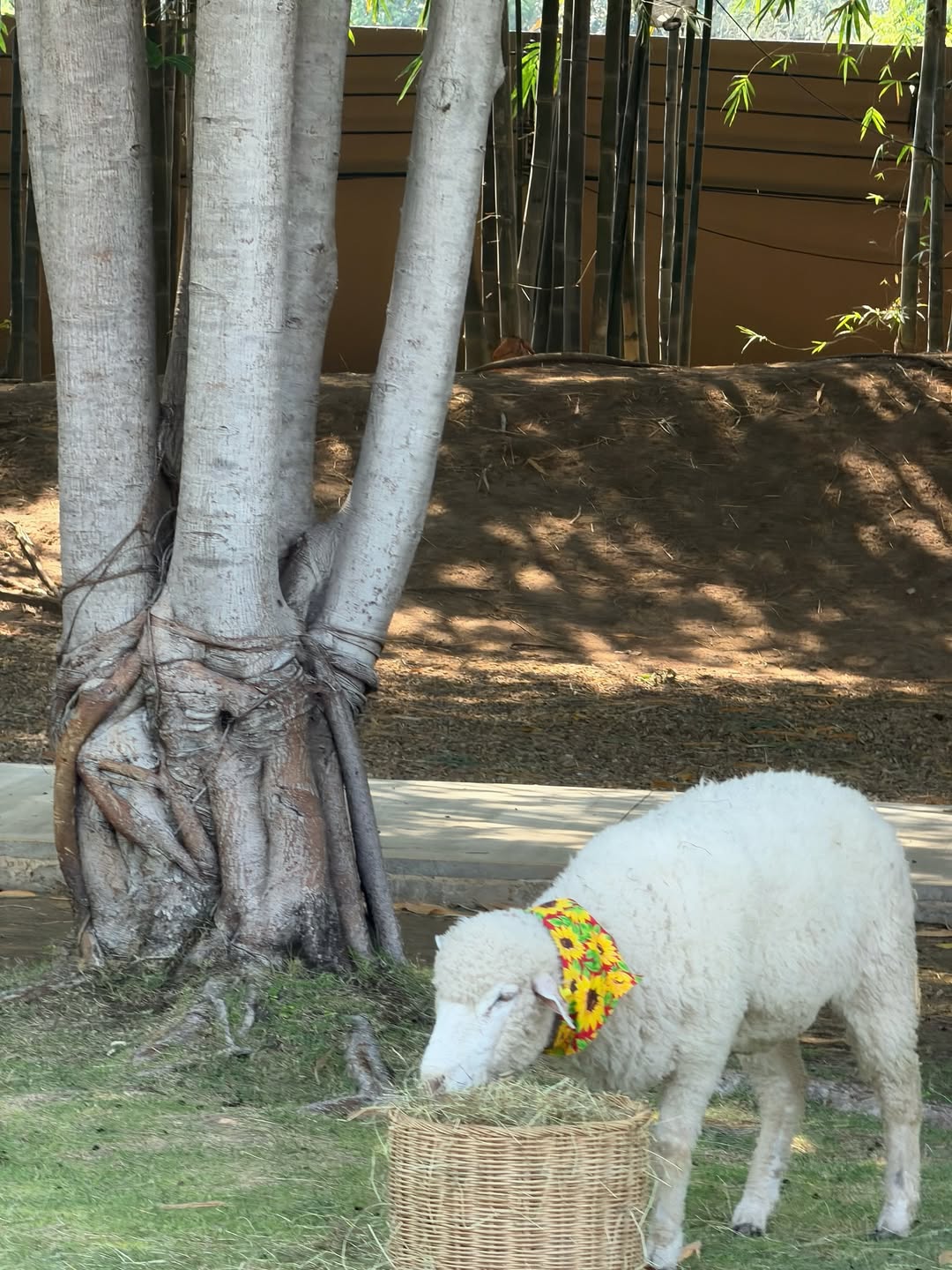 ตูน - พิมพ์ปวีณ์ โคกระบินทร์