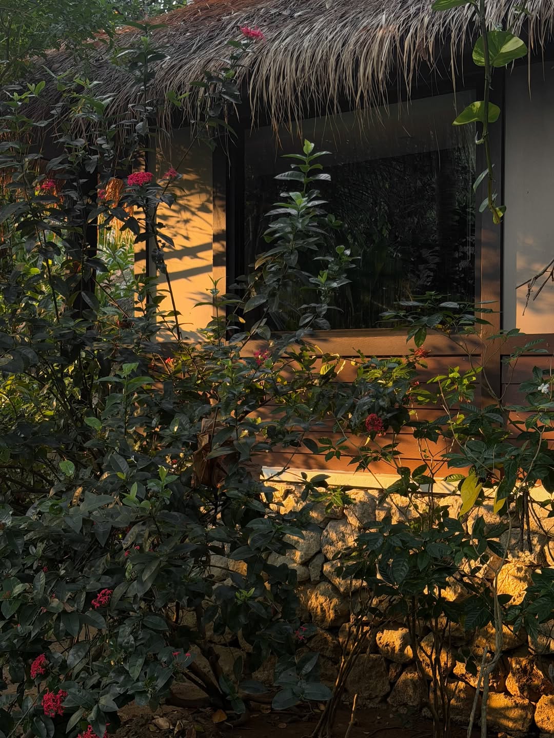 ตูน - พิมพ์ปวีณ์ โคกระบินทร์