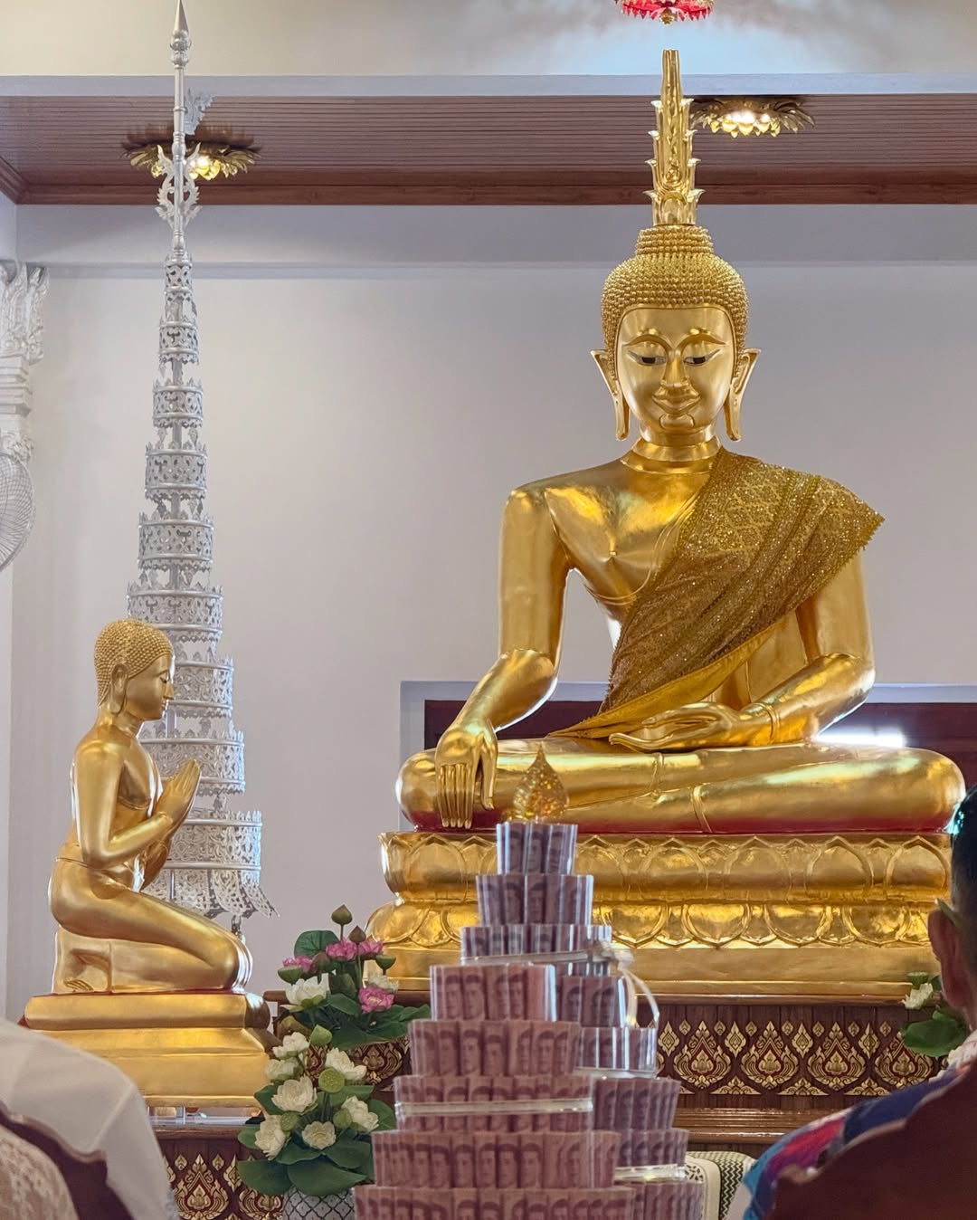 เดียร์น่า ฟลีโป