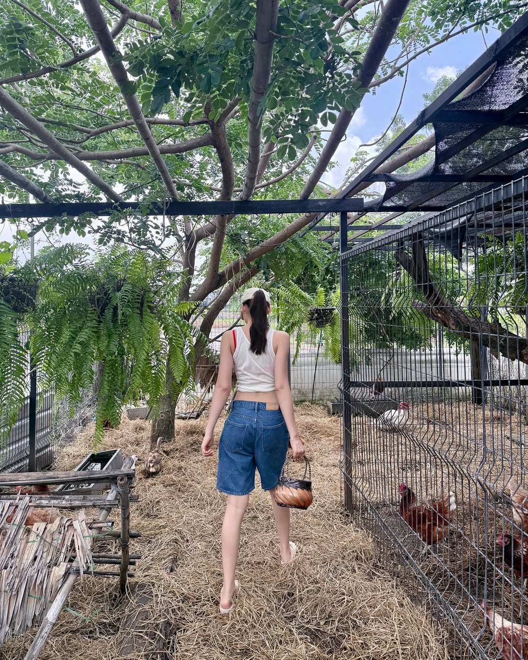 เดียร์น่า ฟลีโป