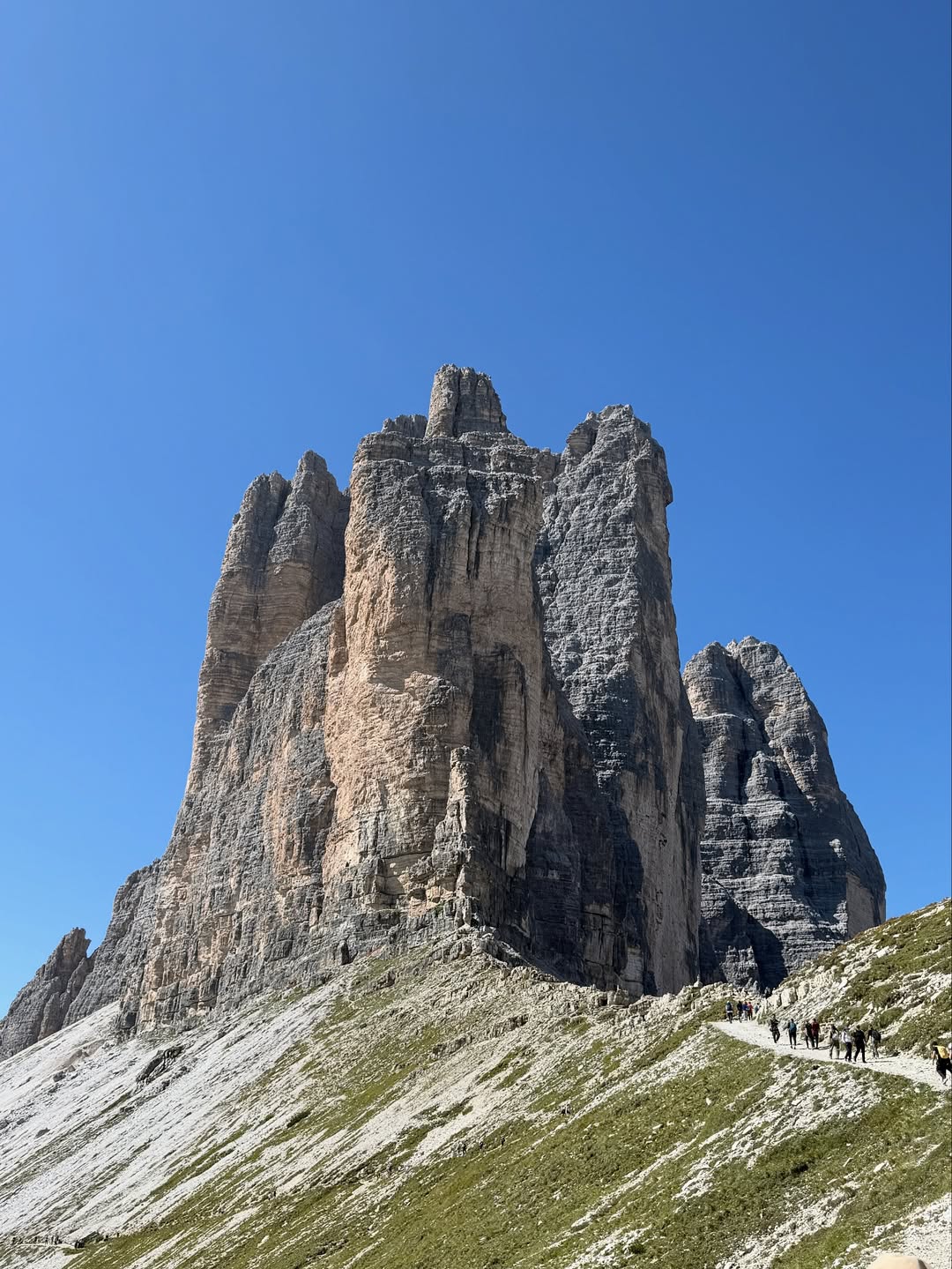 เดียร์น่า ฟลีโป