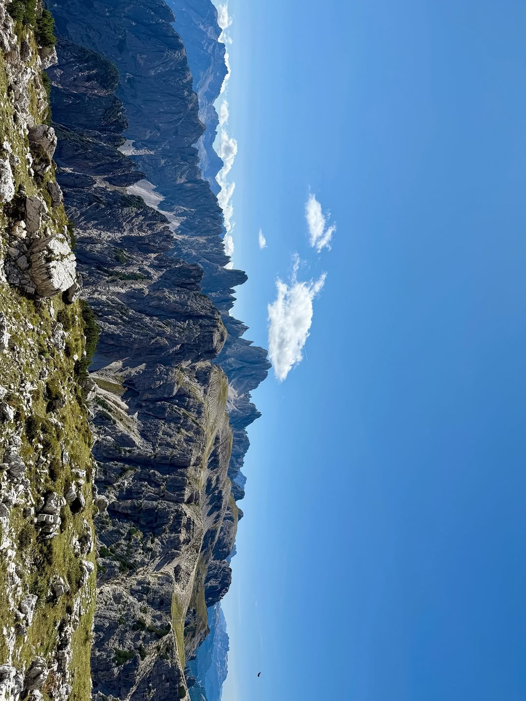 เดียร์น่า ฟลีโป