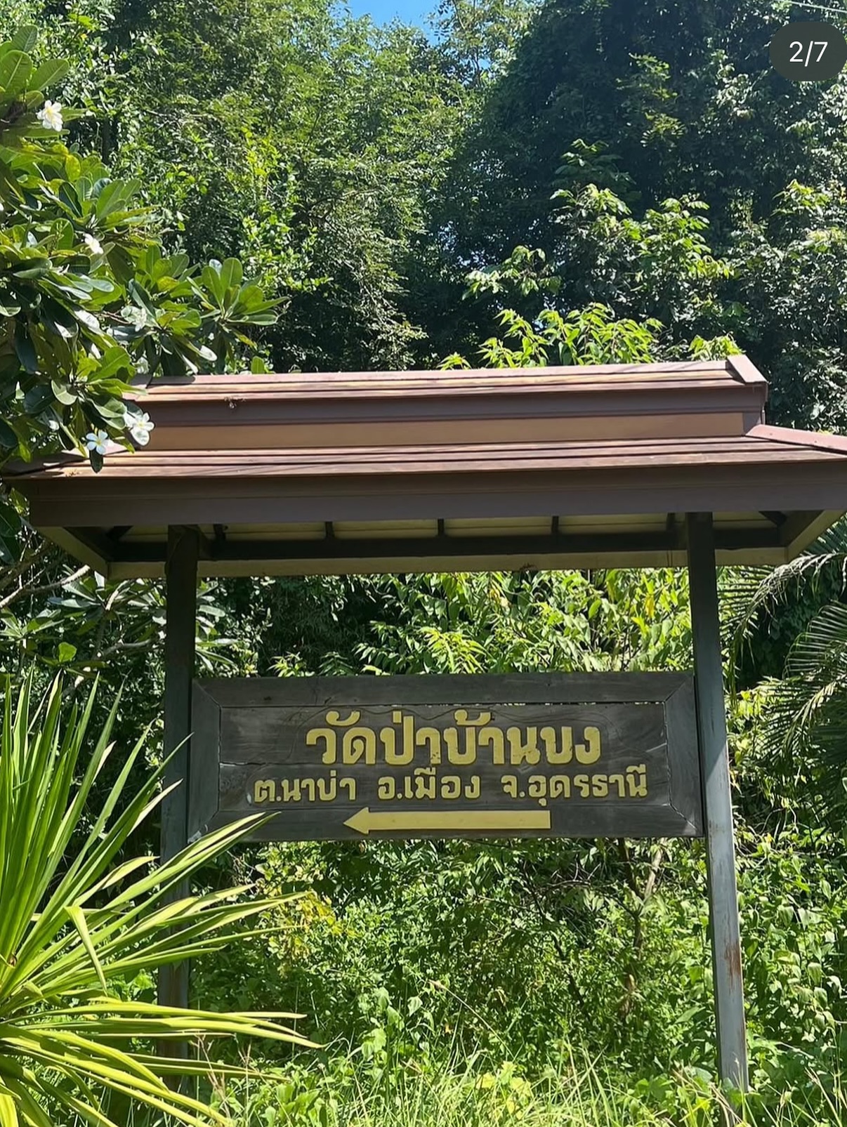 เดียร์น่า ฟลีโป