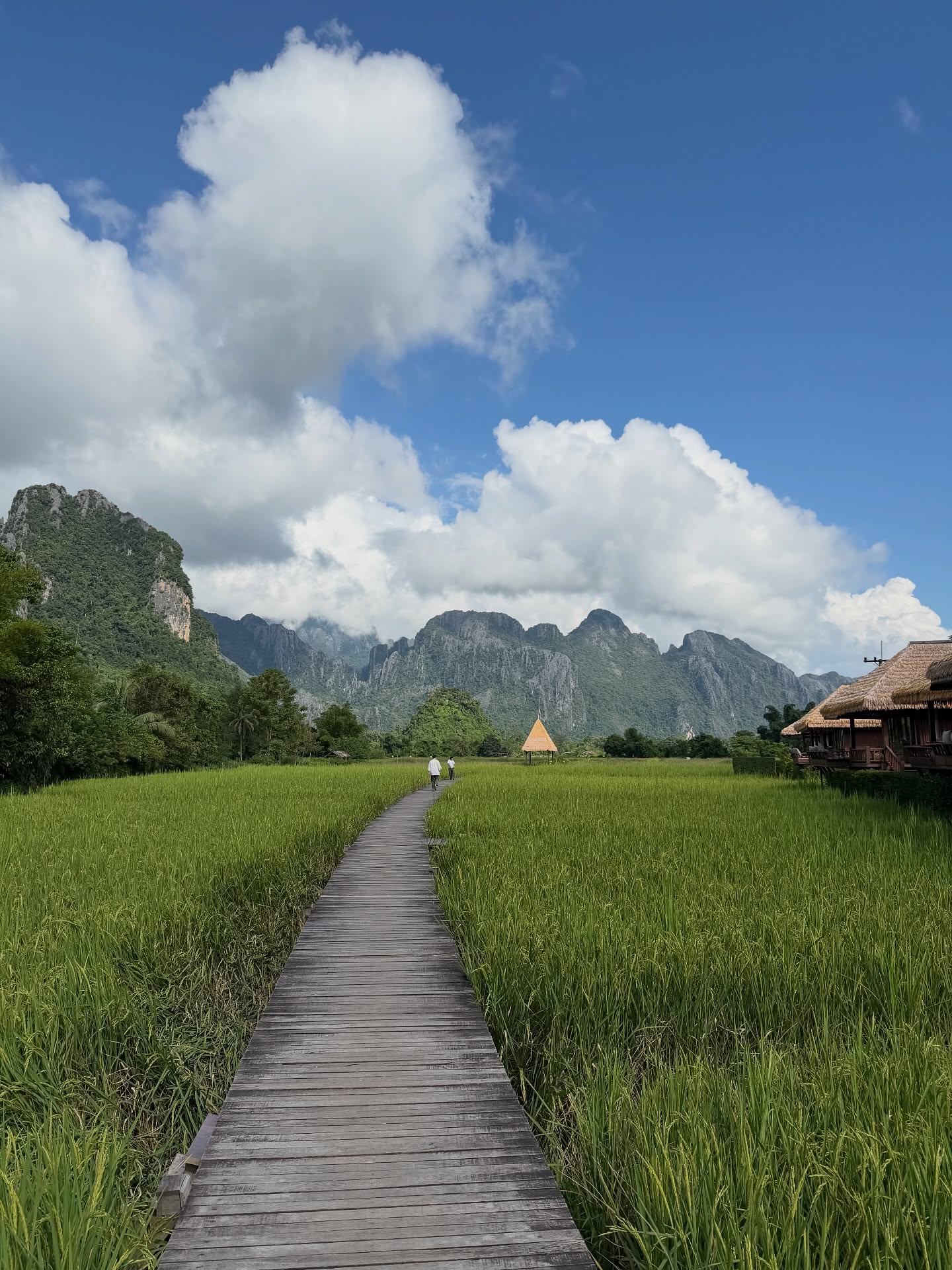 เดียร์น่า ฟลีโป