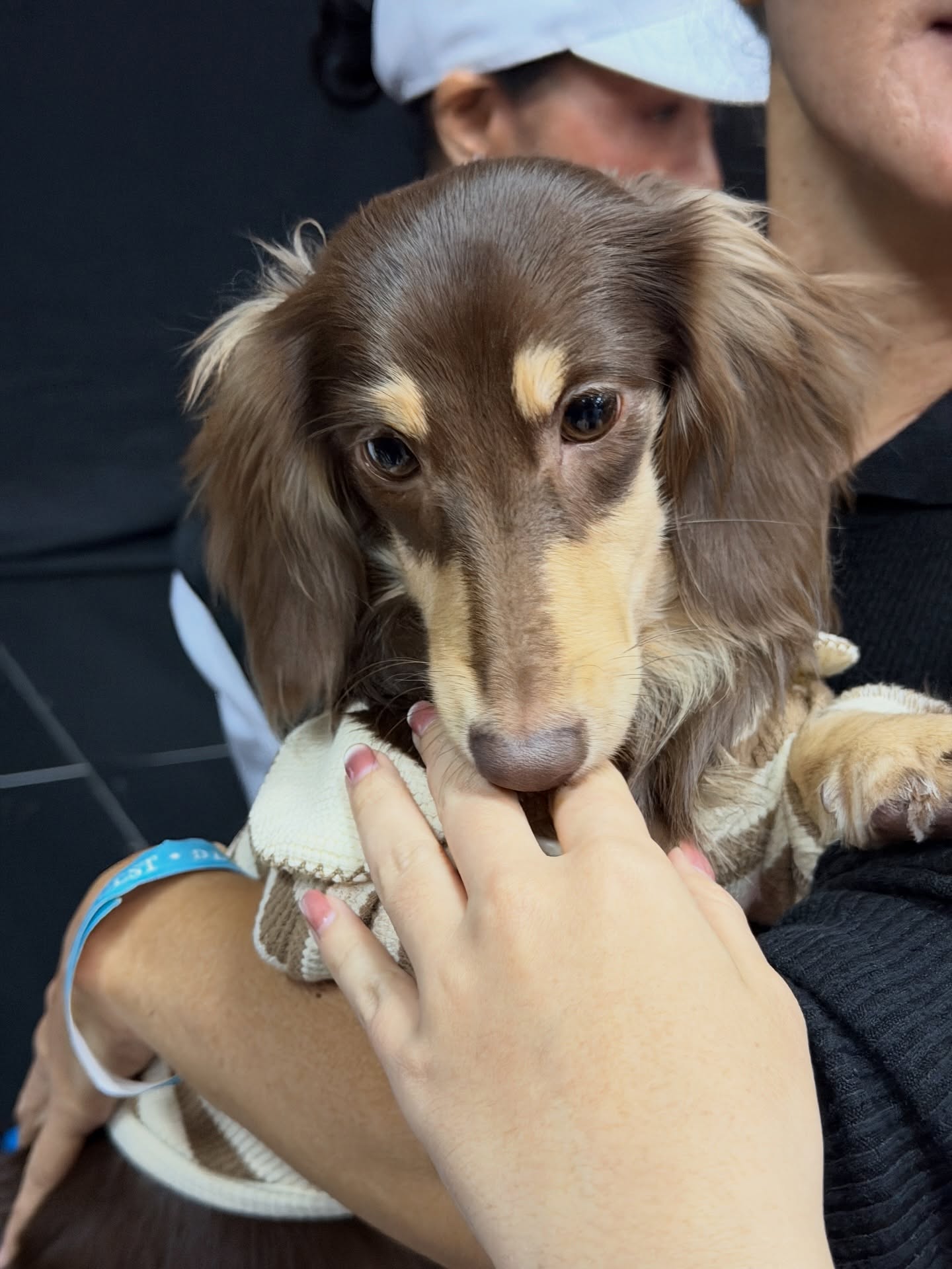 เดียร์น่า ฟลีโป