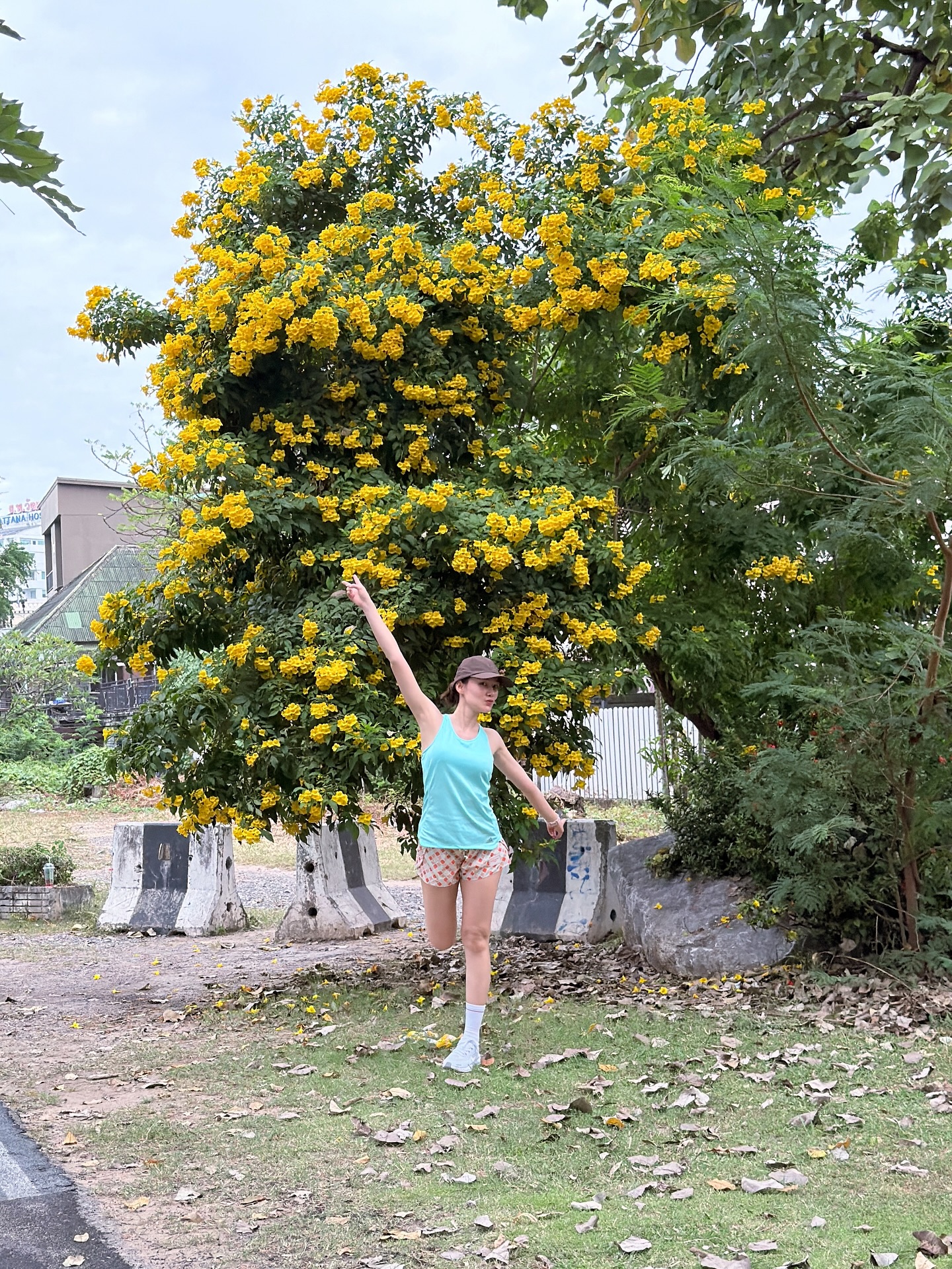 เดียร์น่า ฟลีโป