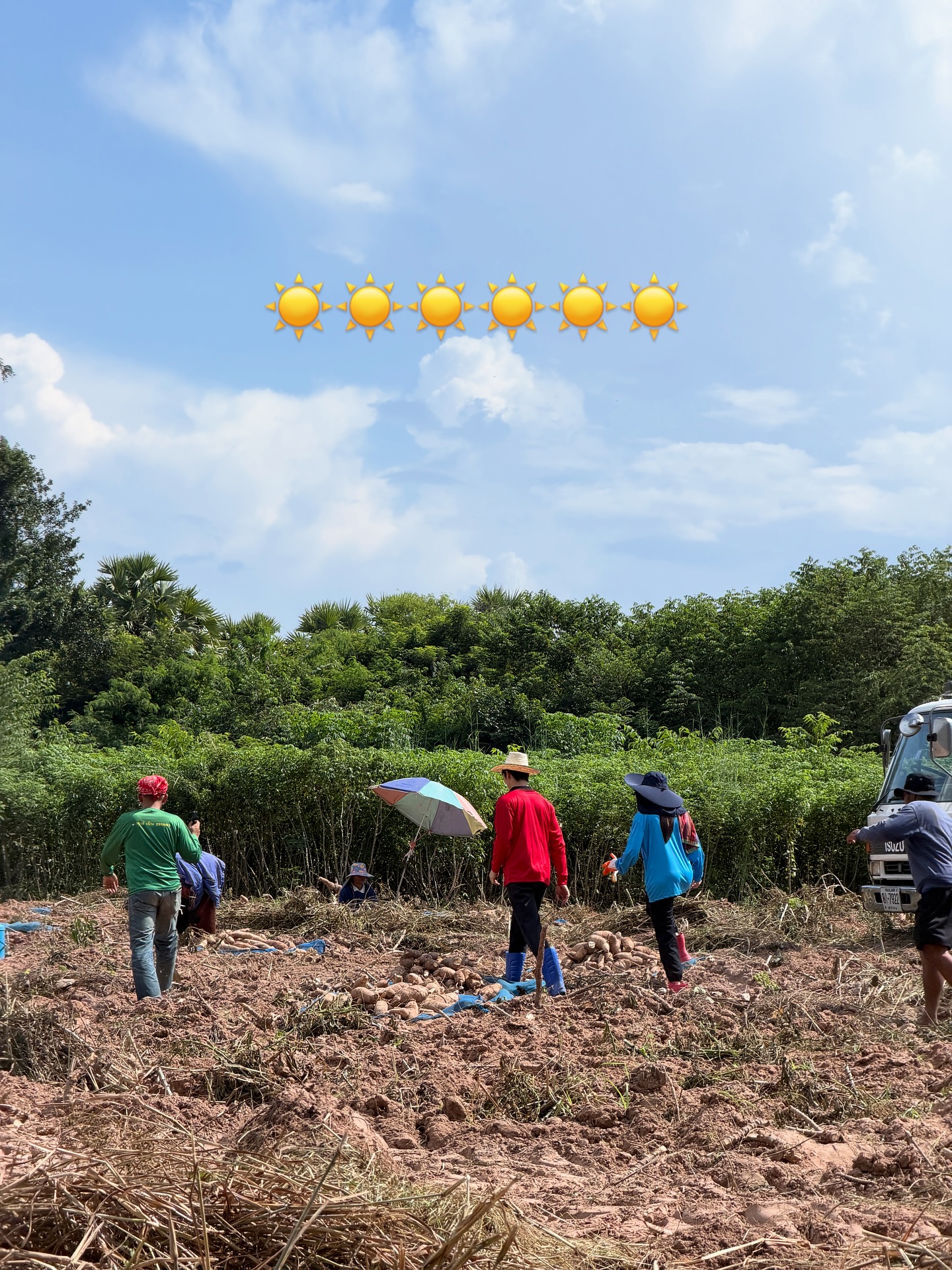 เดียร์น่า ฟลีโป