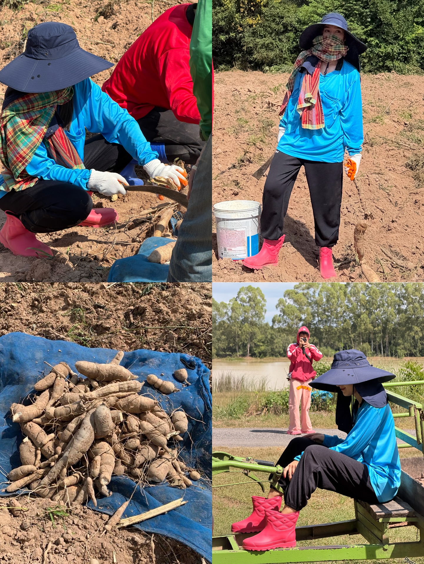 เดียร์น่า ฟลีโป