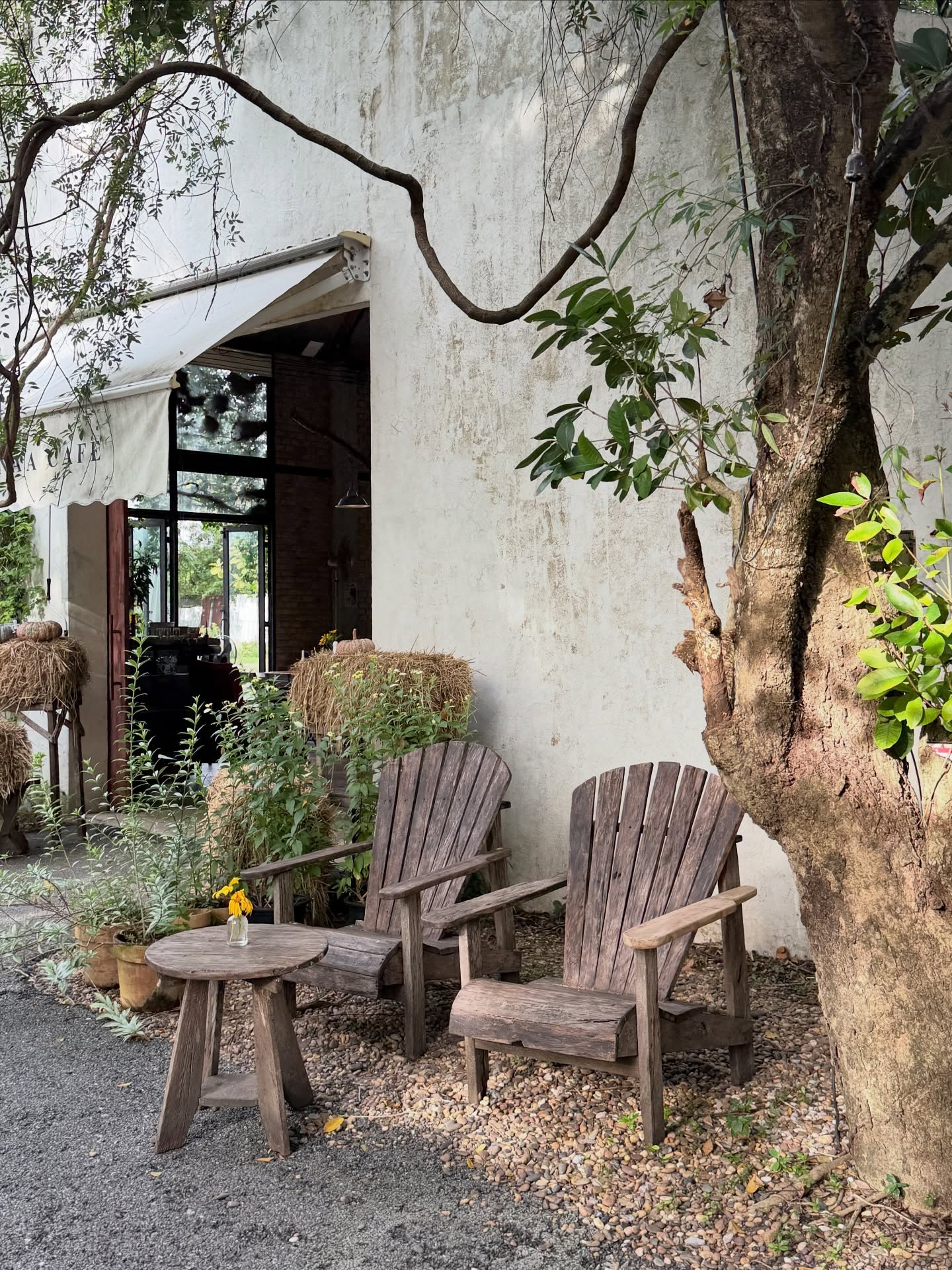 เดียร์น่า ฟลีโป