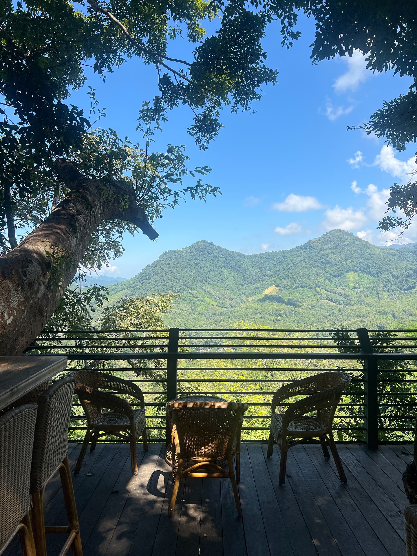 เดียร์น่า ฟลีโป