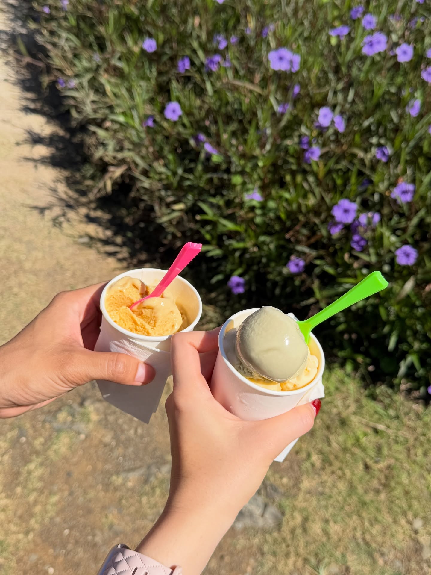 เดียร์น่า ฟลีโป