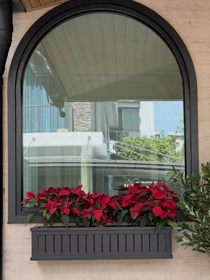 เดียร์น่า ฟลีโป