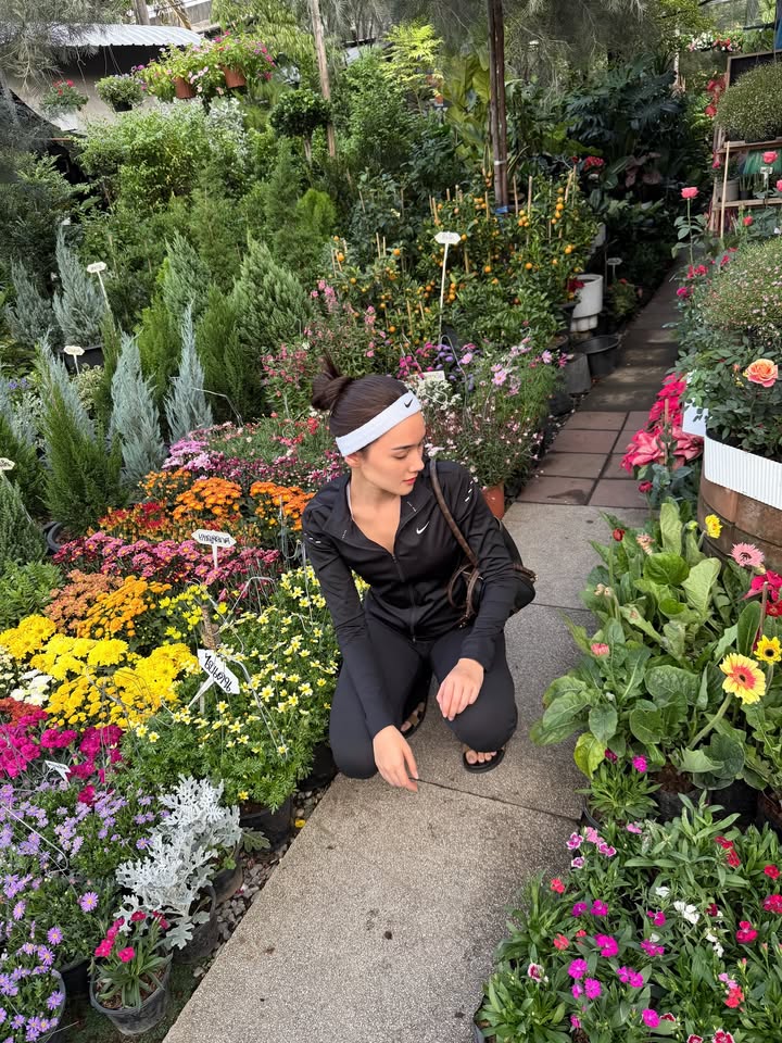 เดียร์น่า ฟลีโป