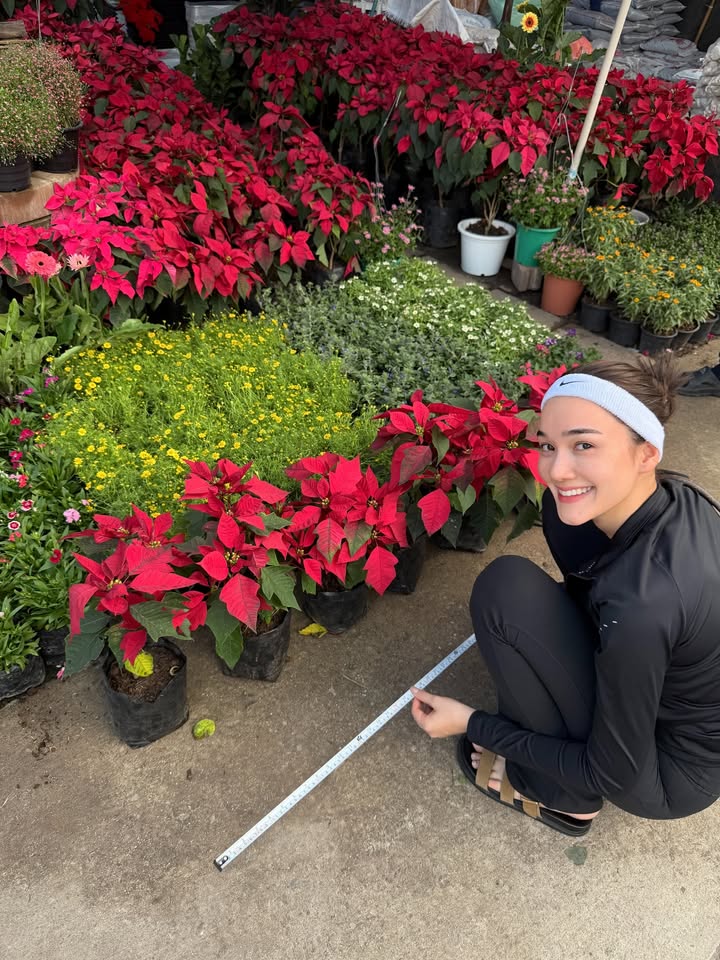 เดียร์น่า ฟลีโป