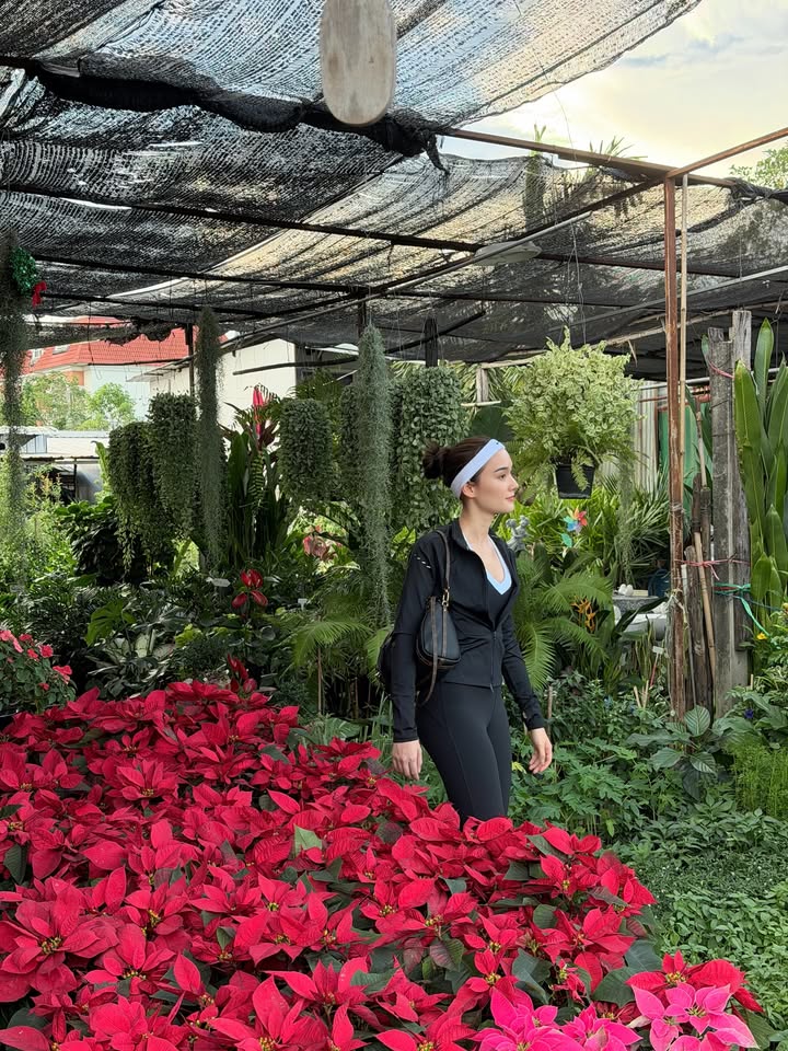 เดียร์น่า ฟลีโป