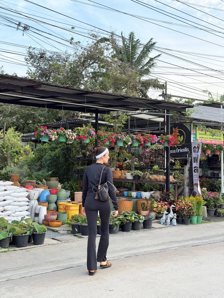 เดียร์น่า ฟลีโป