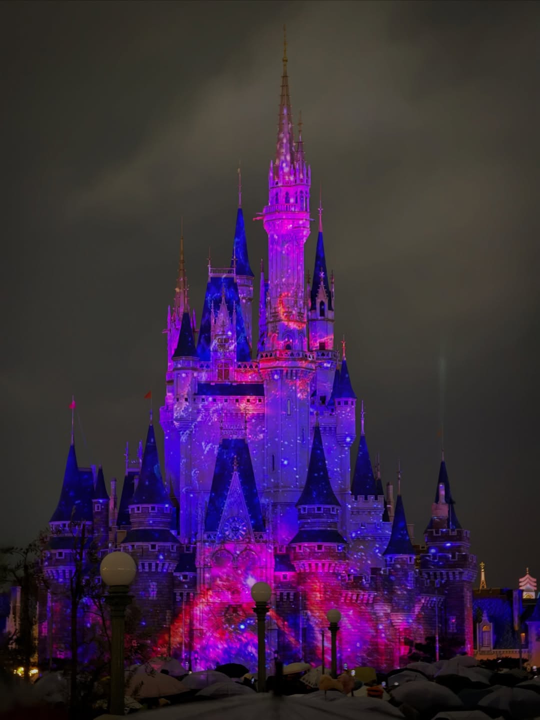 เดียร์น่า ฟลีโป