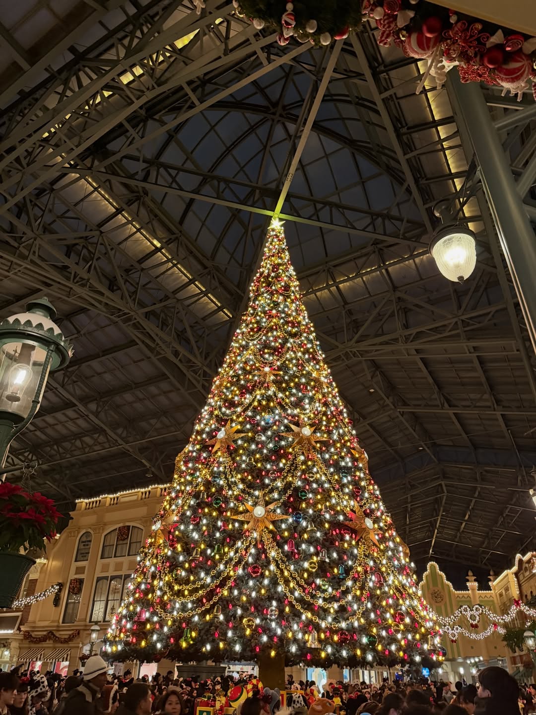 เดียร์น่า ฟลีโป