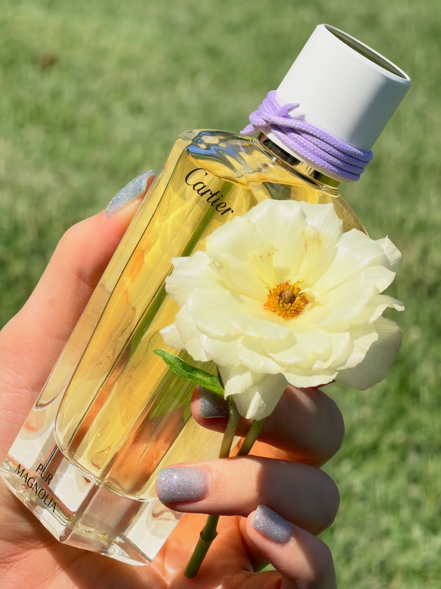 เดียร์น่า ฟลีโป