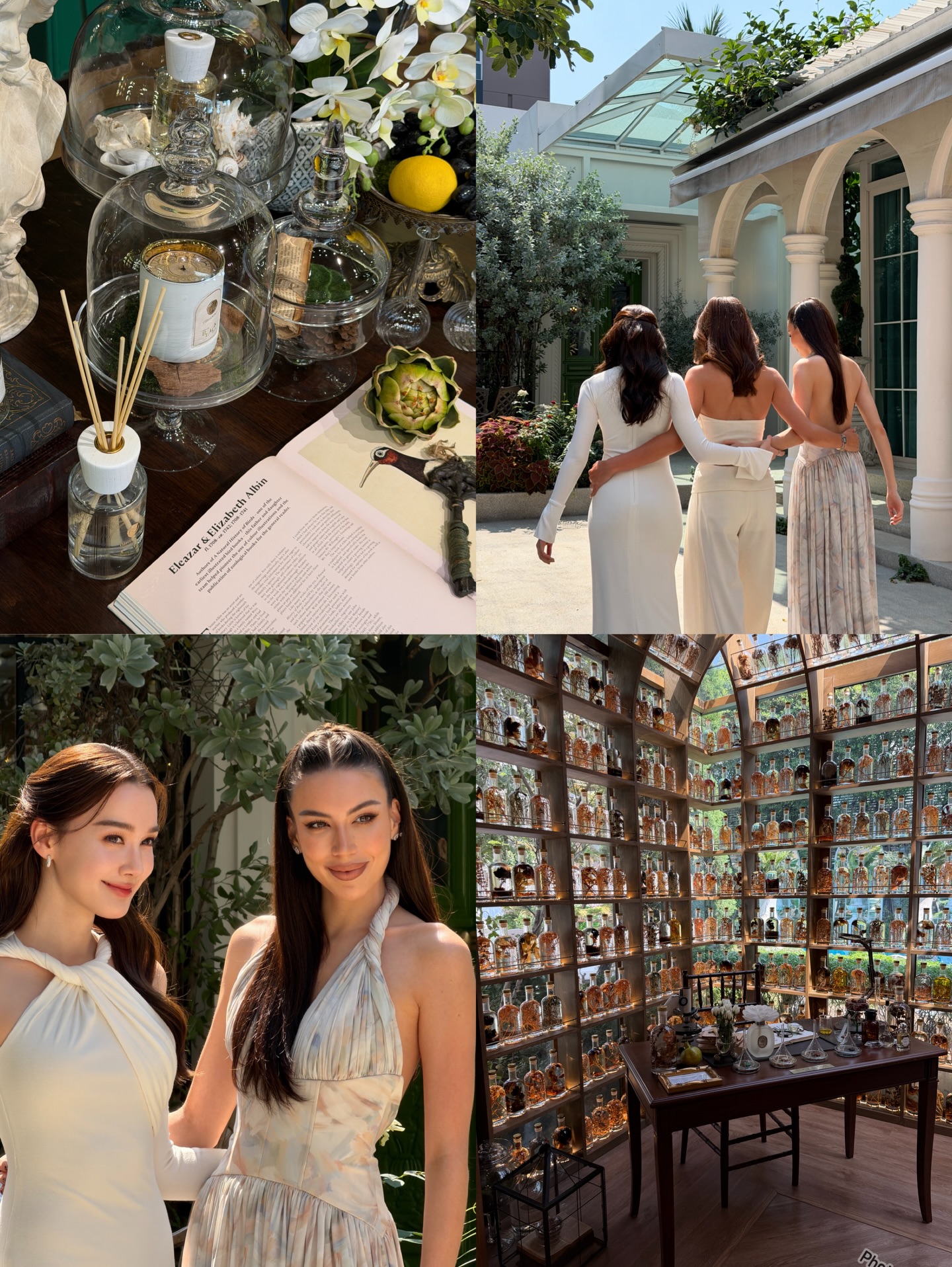 เดียร์น่า ฟลีโป