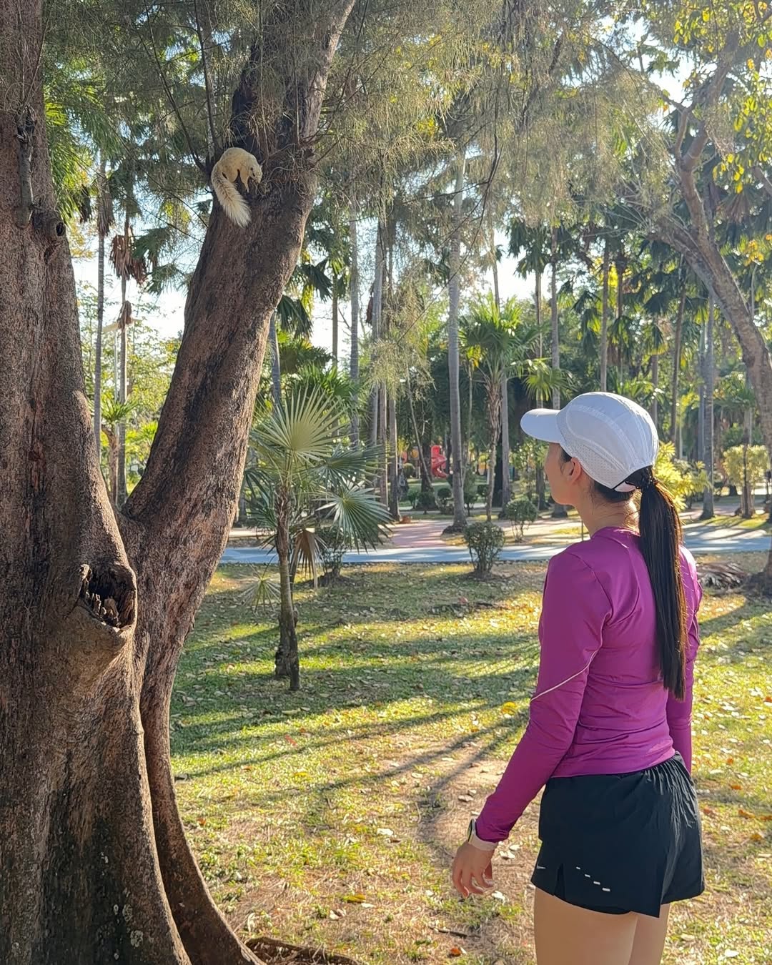 เดียร์น่า ฟลีโป