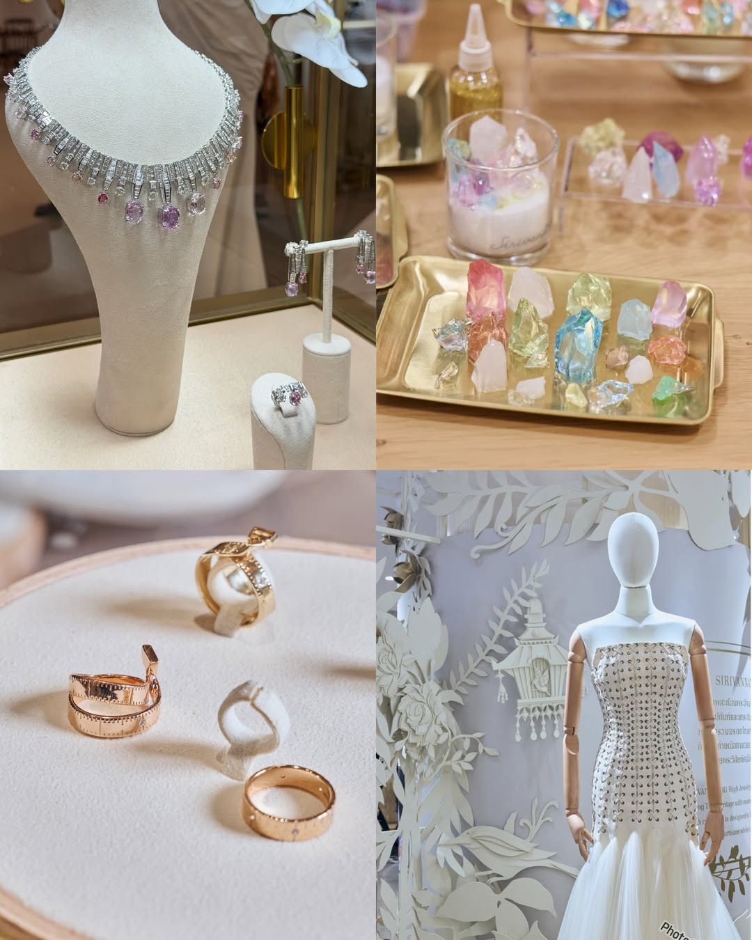 เดียร์น่า ฟลีโป