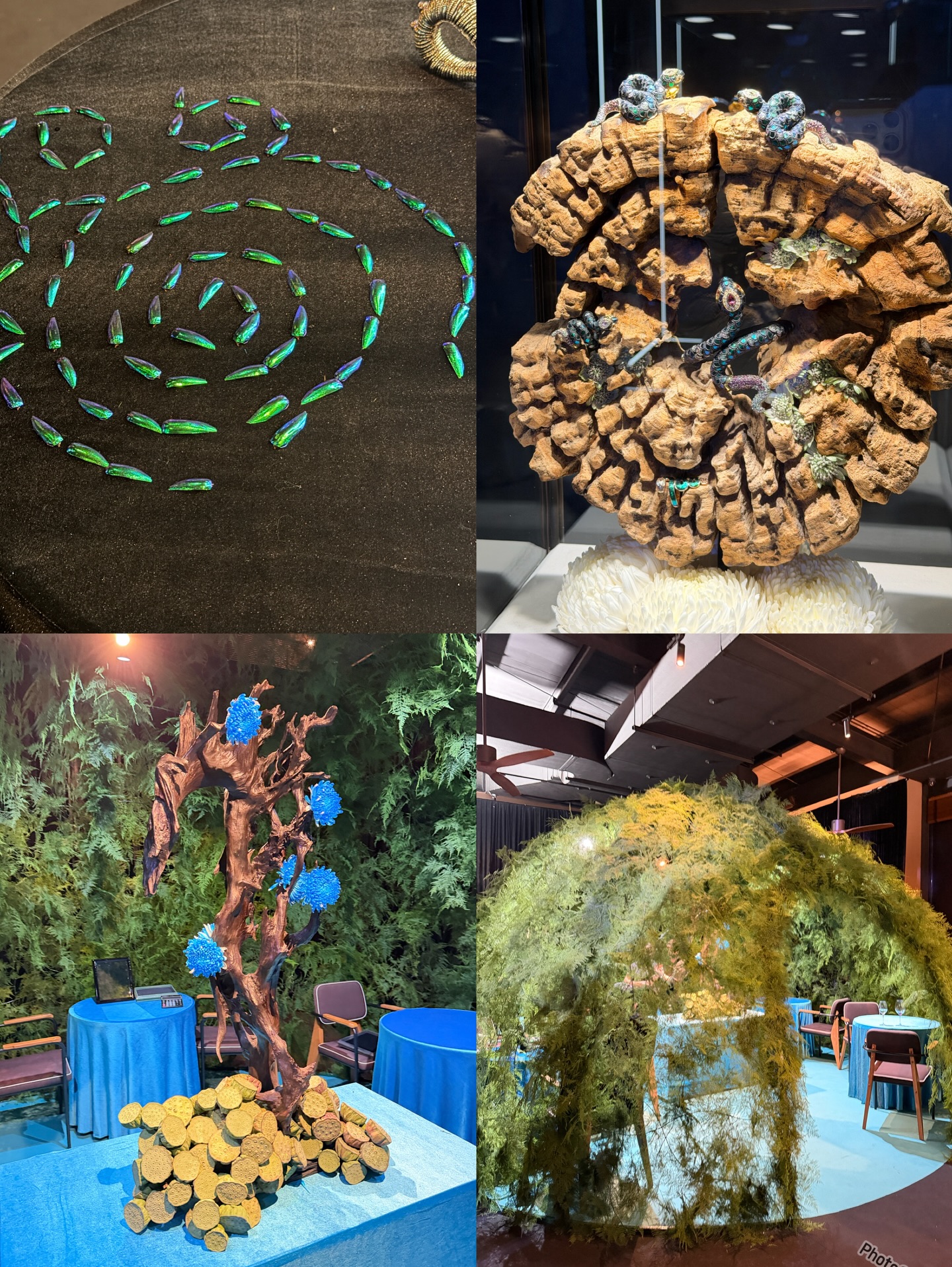 เดียร์น่า ฟลีโป