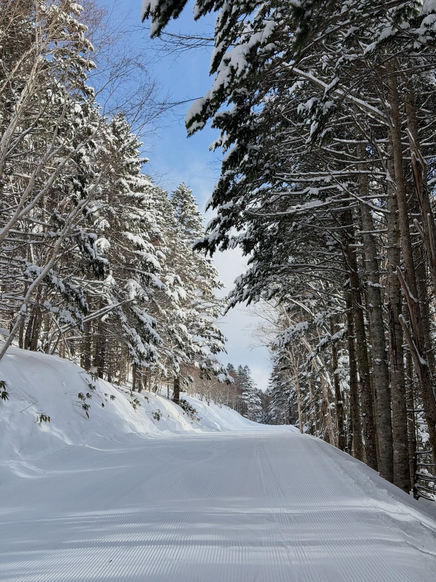 เดียร์น่า ฟลีโป