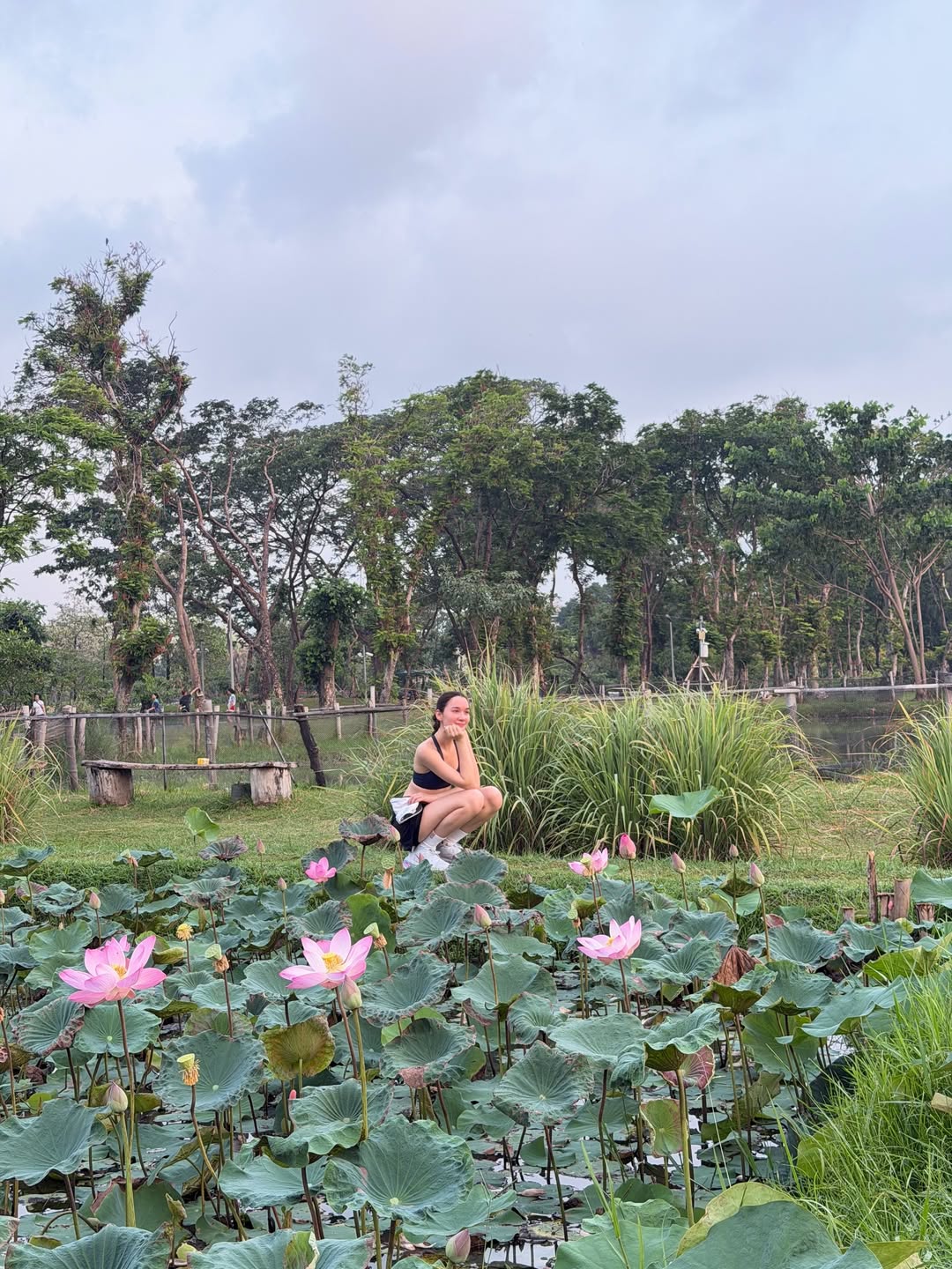 เดียร์น่า ฟลีโป