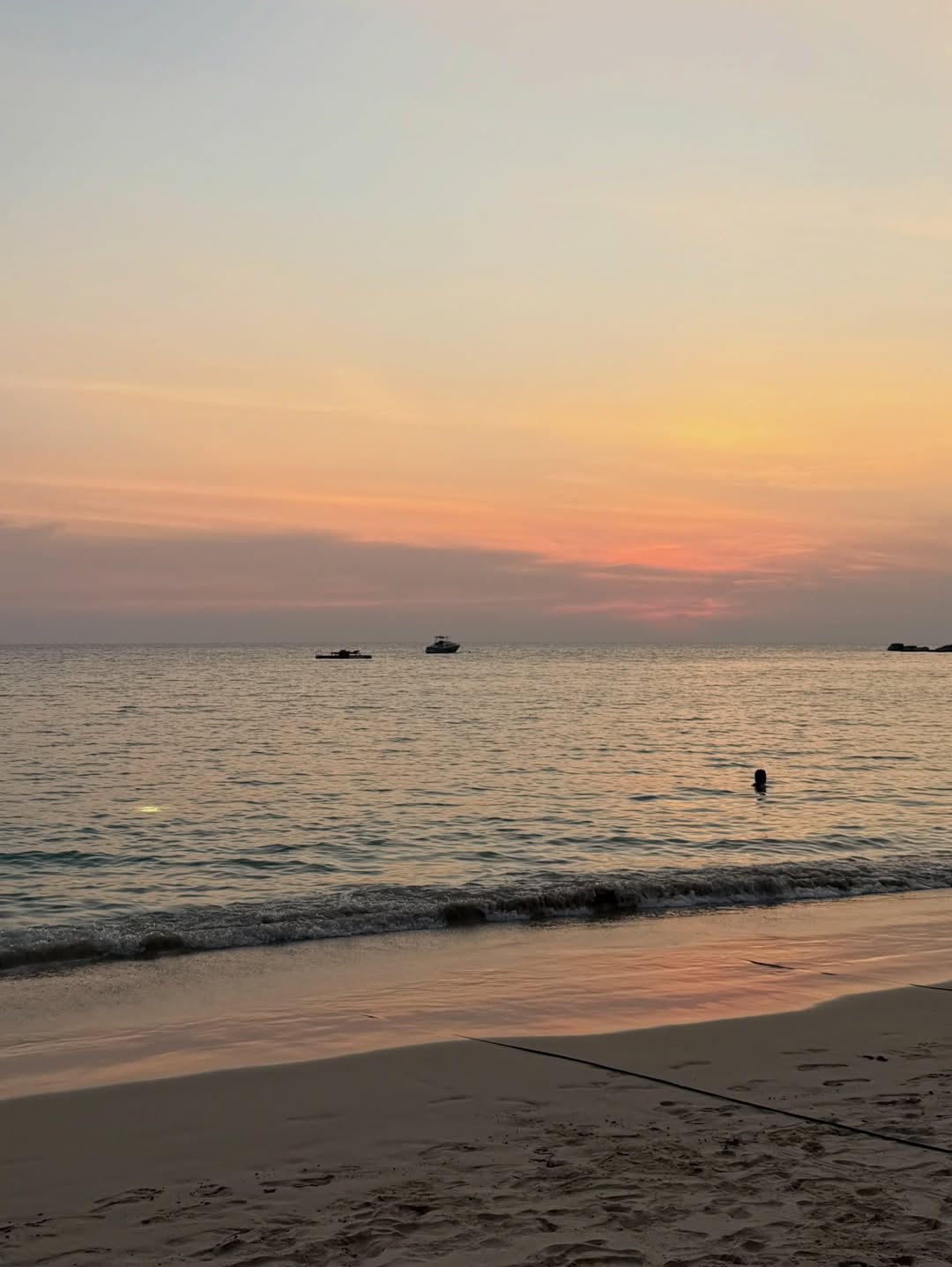 เดียร์น่า ฟลีโป